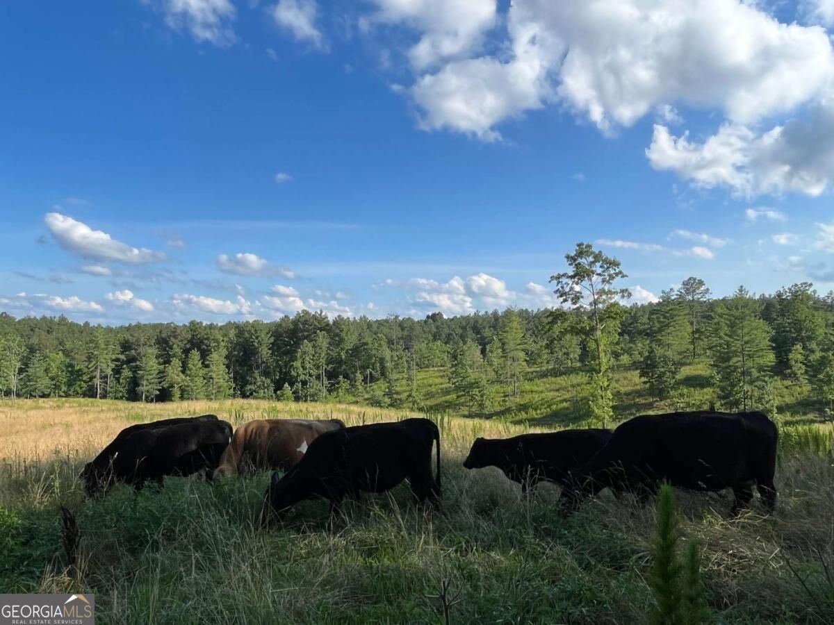 Lot 2 Highway 52 W Property Photo 4