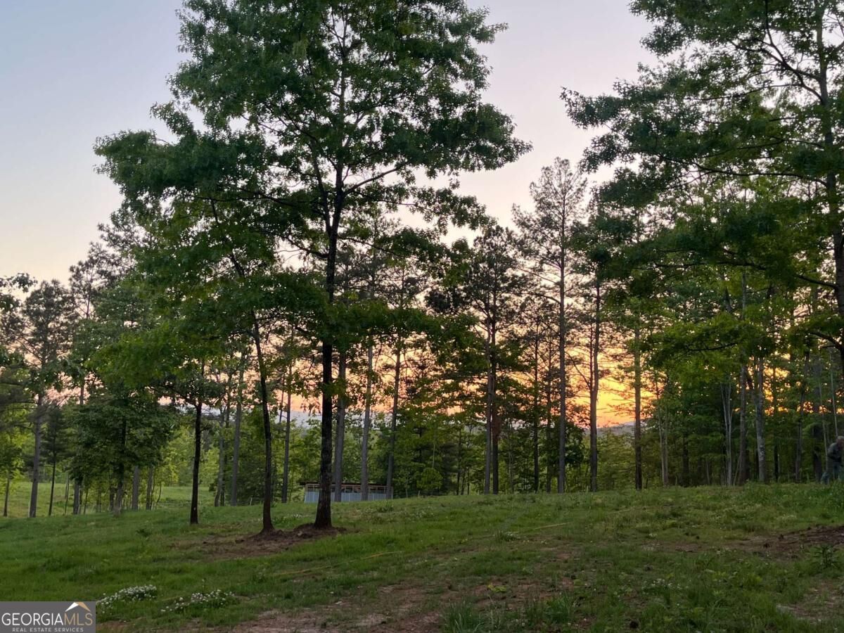 Lot 2 Highway 52 W Property Photo 5