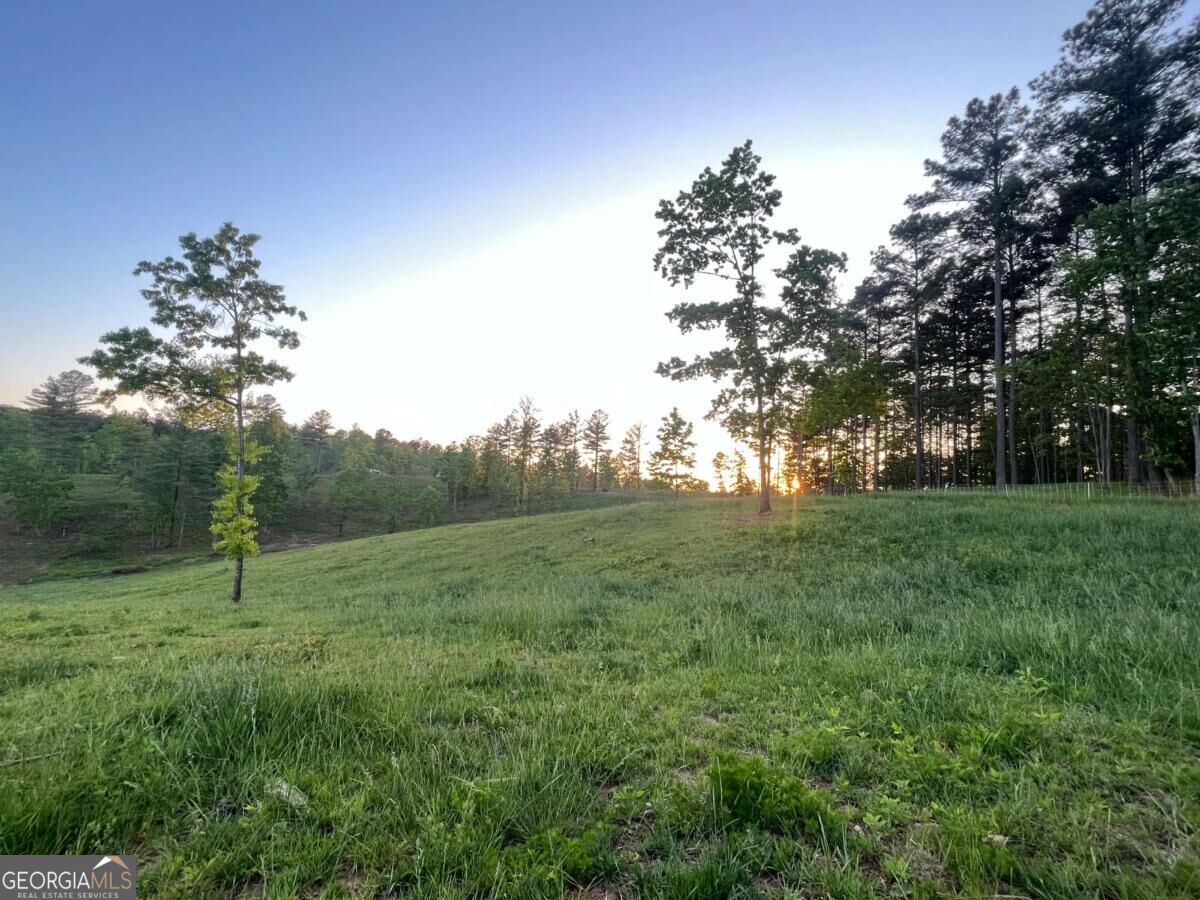 Lot 2 Highway 52 W Property Photo 7