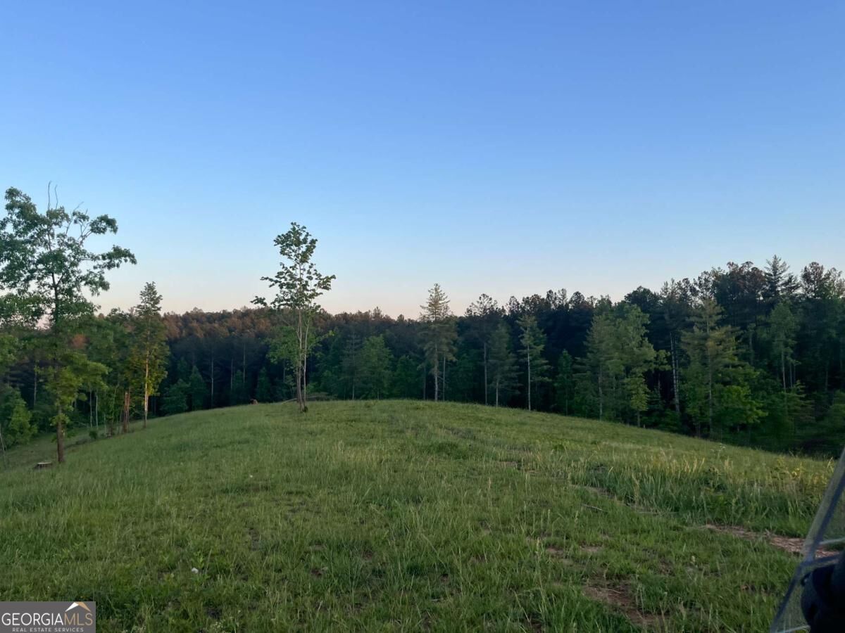 Lot 2 Highway 52 W Property Photo 8