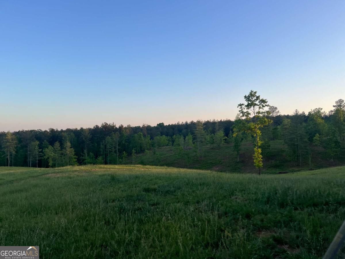 Lot 2 Highway 52 W Property Photo 9