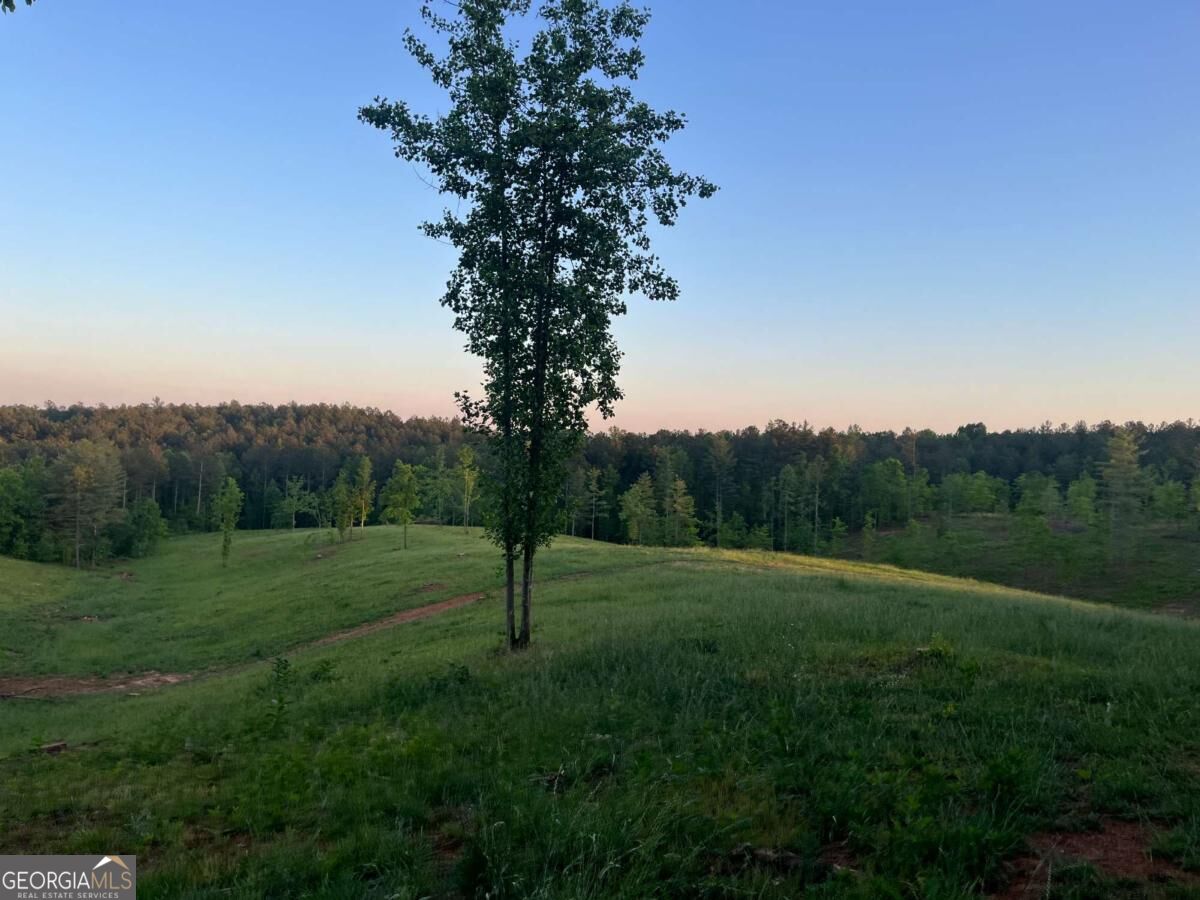 Lot 2 Highway 52 W Property Photo 10