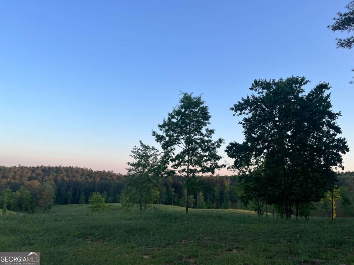 Lot 2 Highway 52 W Property Photo 11