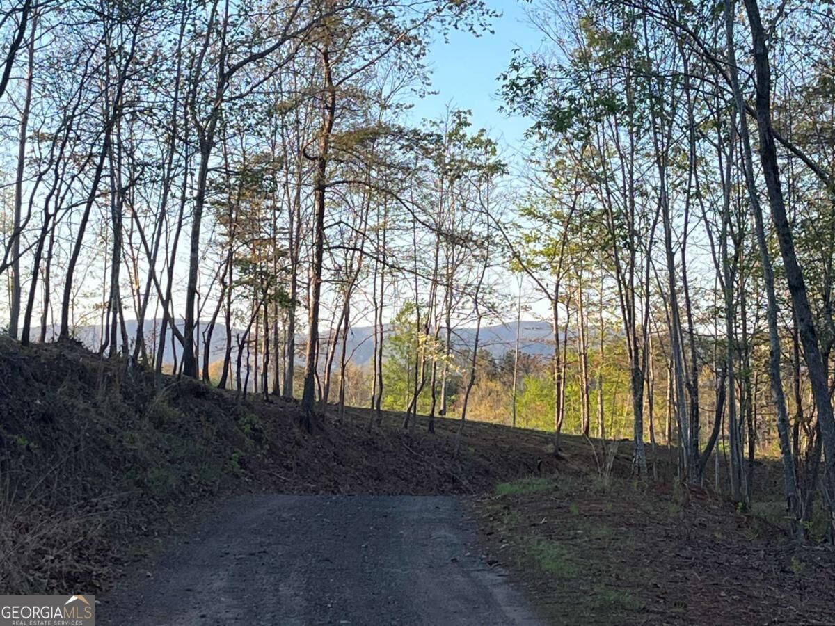 Lot 2 Highway 52 W Property Photo 13