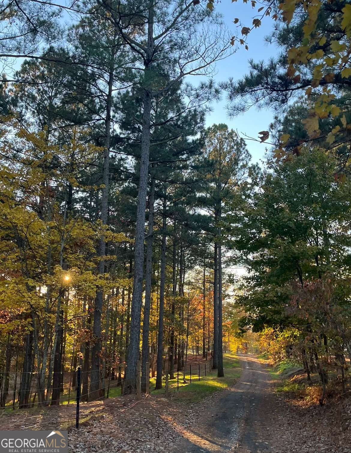 Lot 2 Highway 52 W Property Photo 14