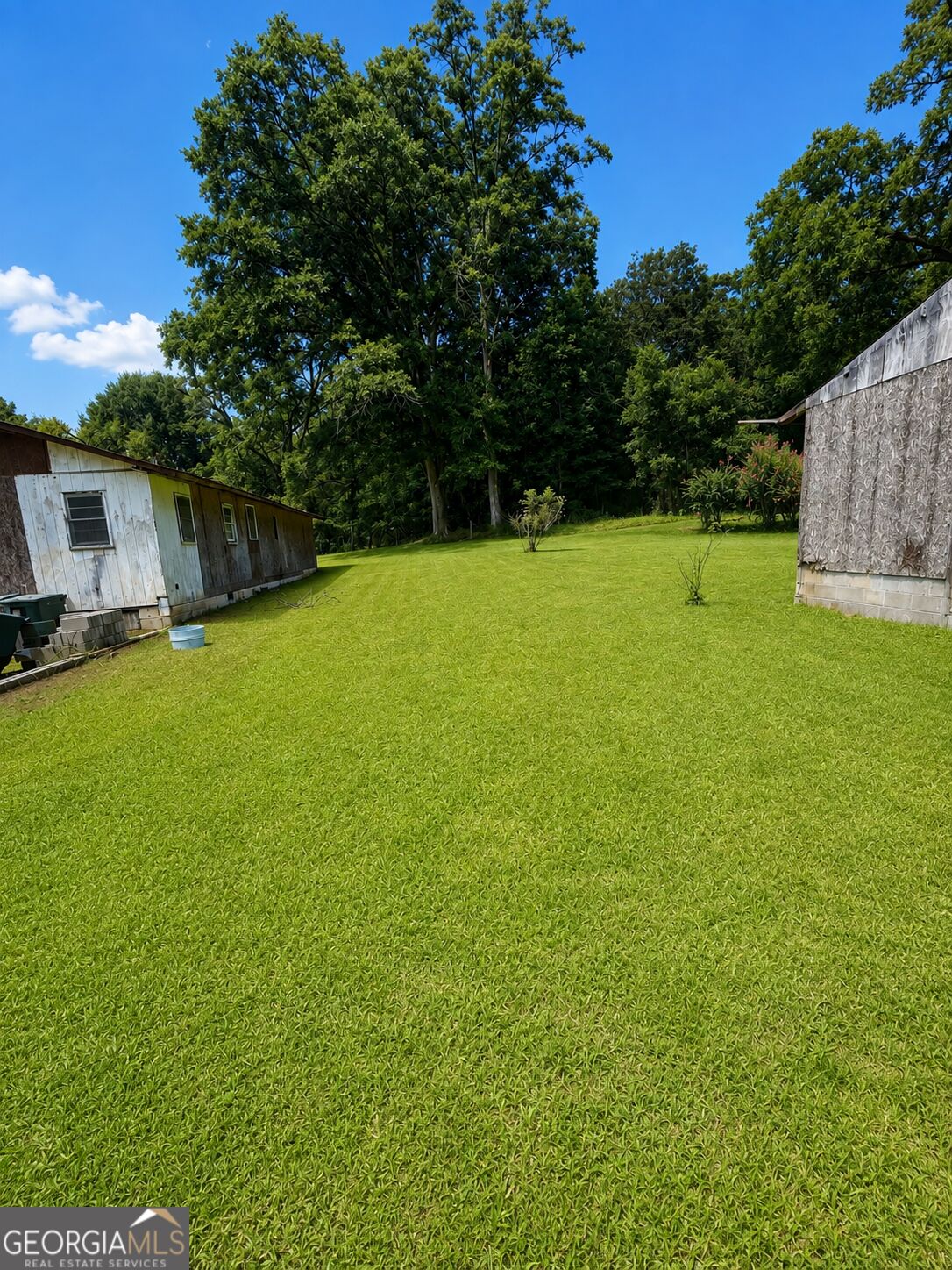 211 Alice Walker Drive Property Photo 4