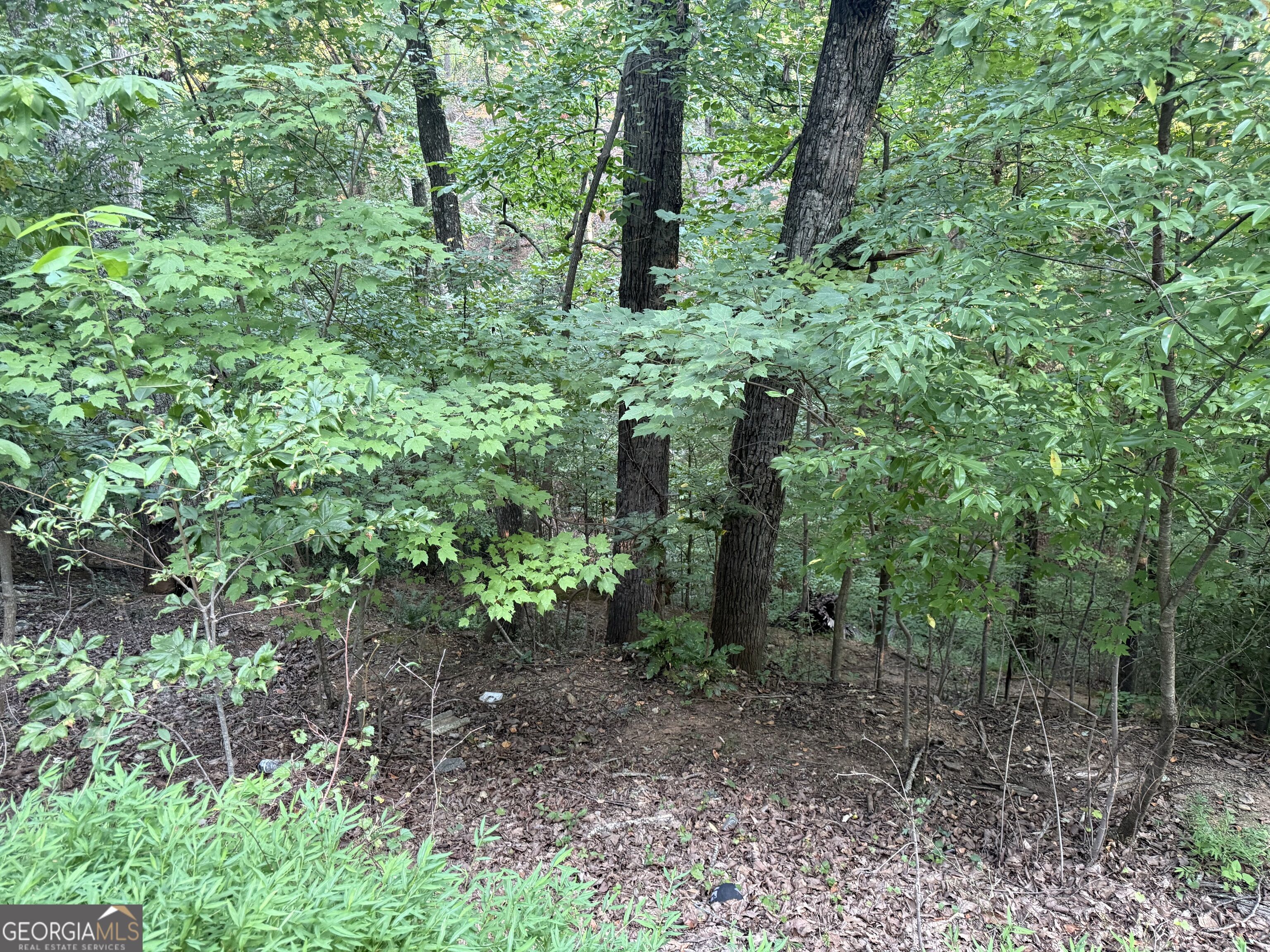 2333 Ford White Road Property Photo 1