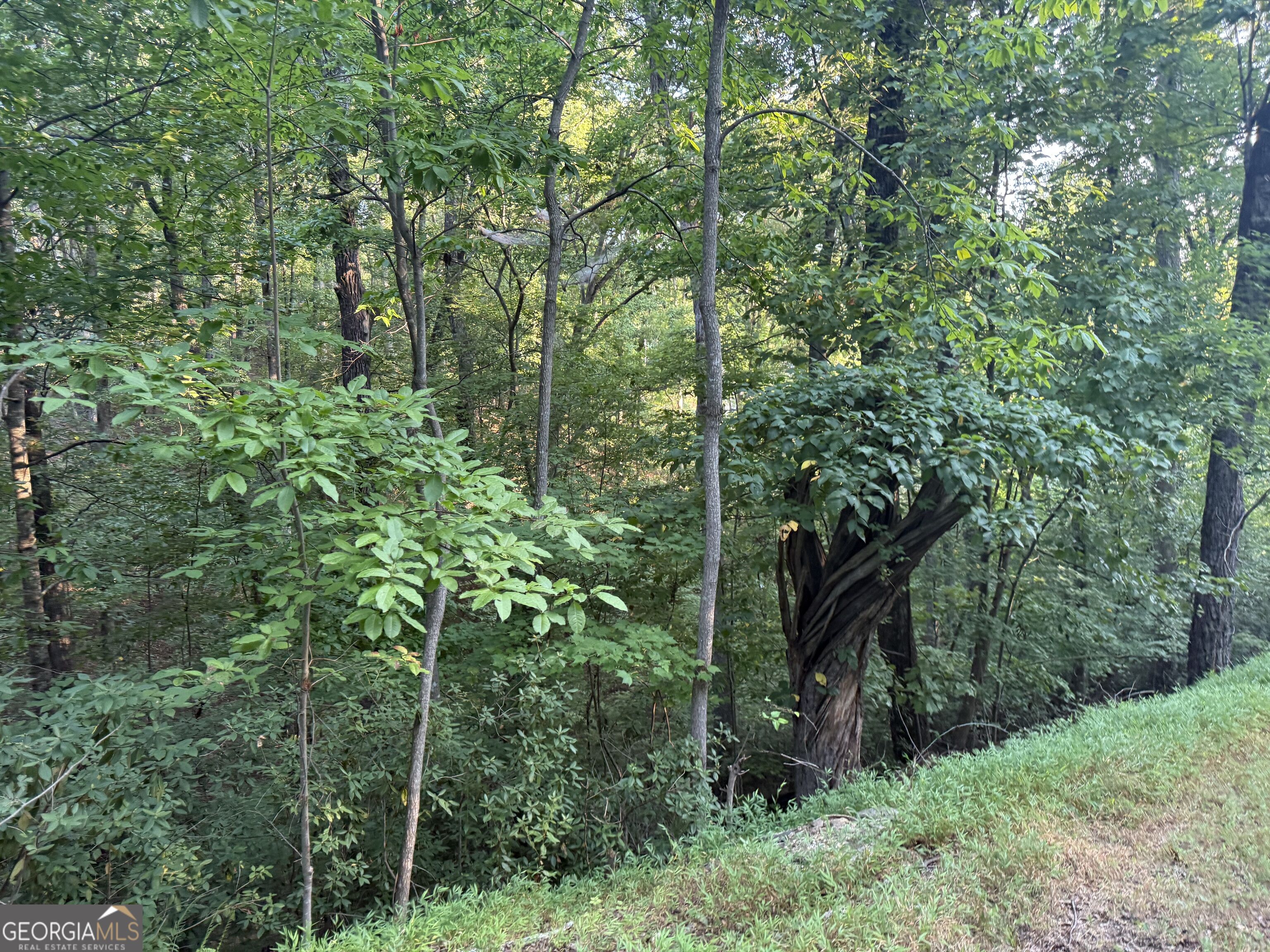 2333 Ford White Road Property Photo 2
