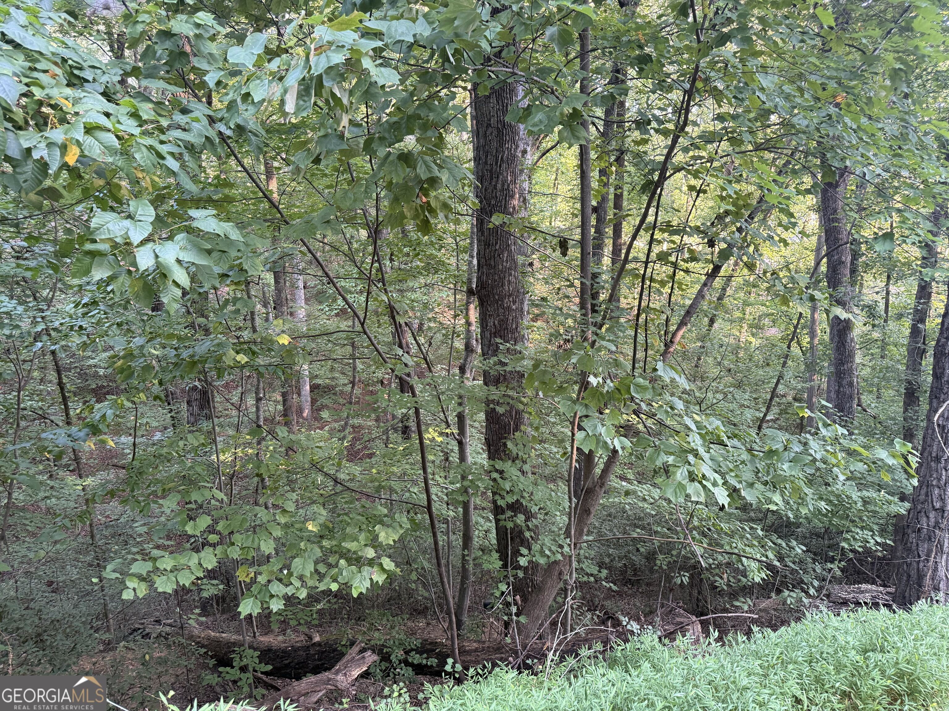 2333 Ford White Road Property Photo 4