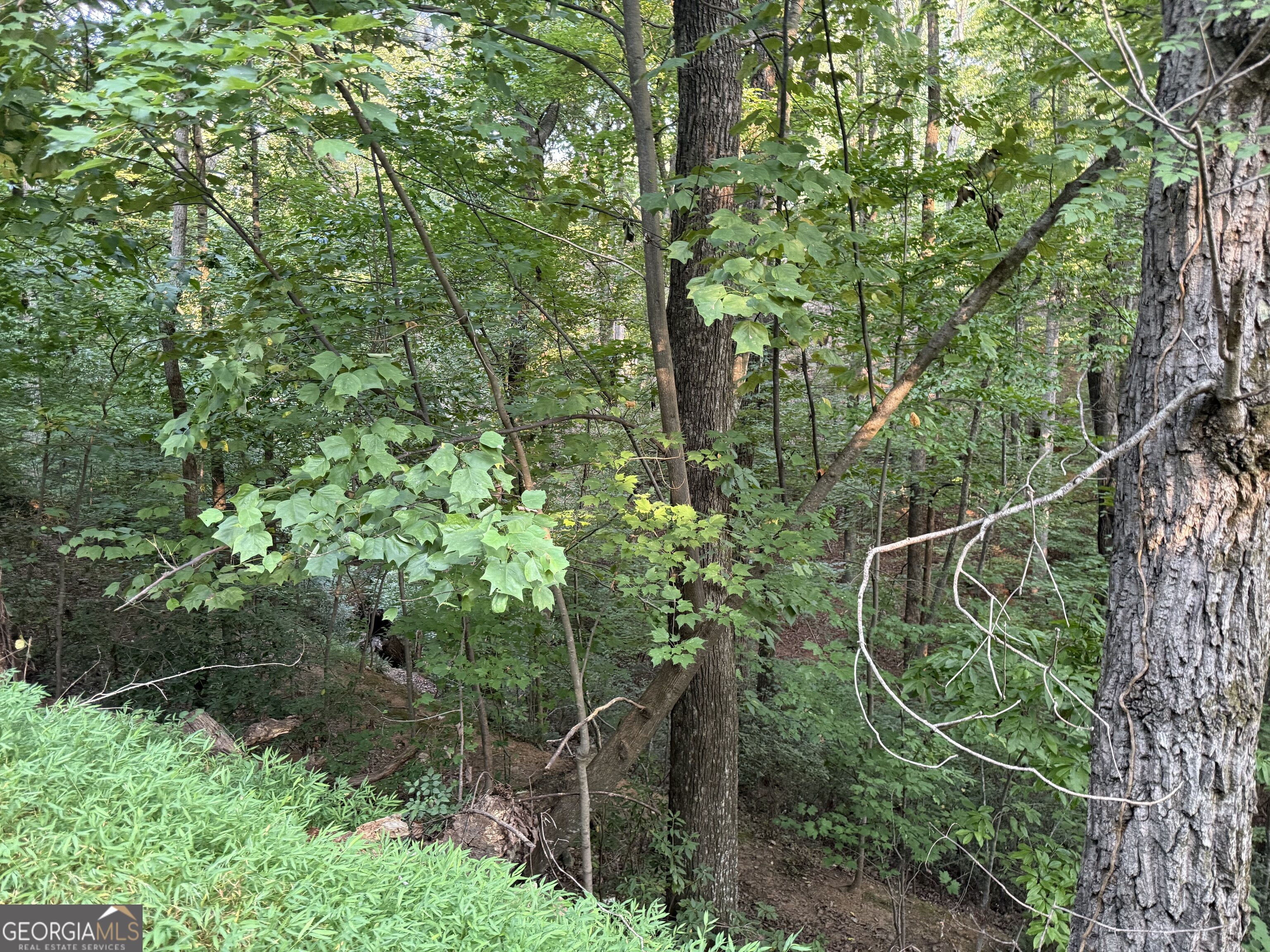 2333 Ford White Road Property Photo 5