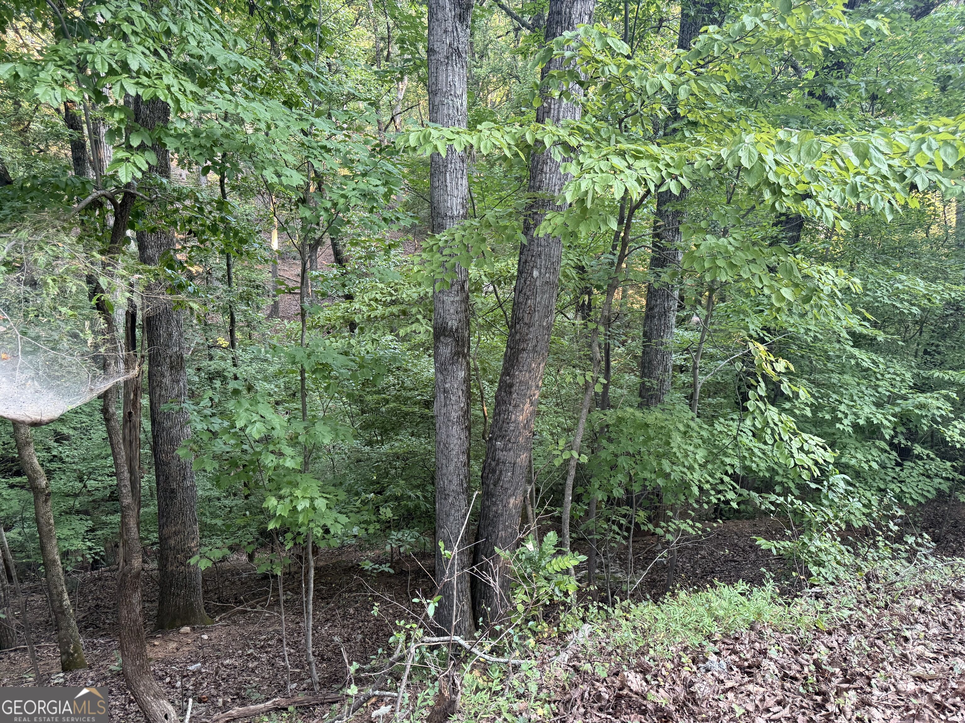 2329 Ford White Road Property Photo 1