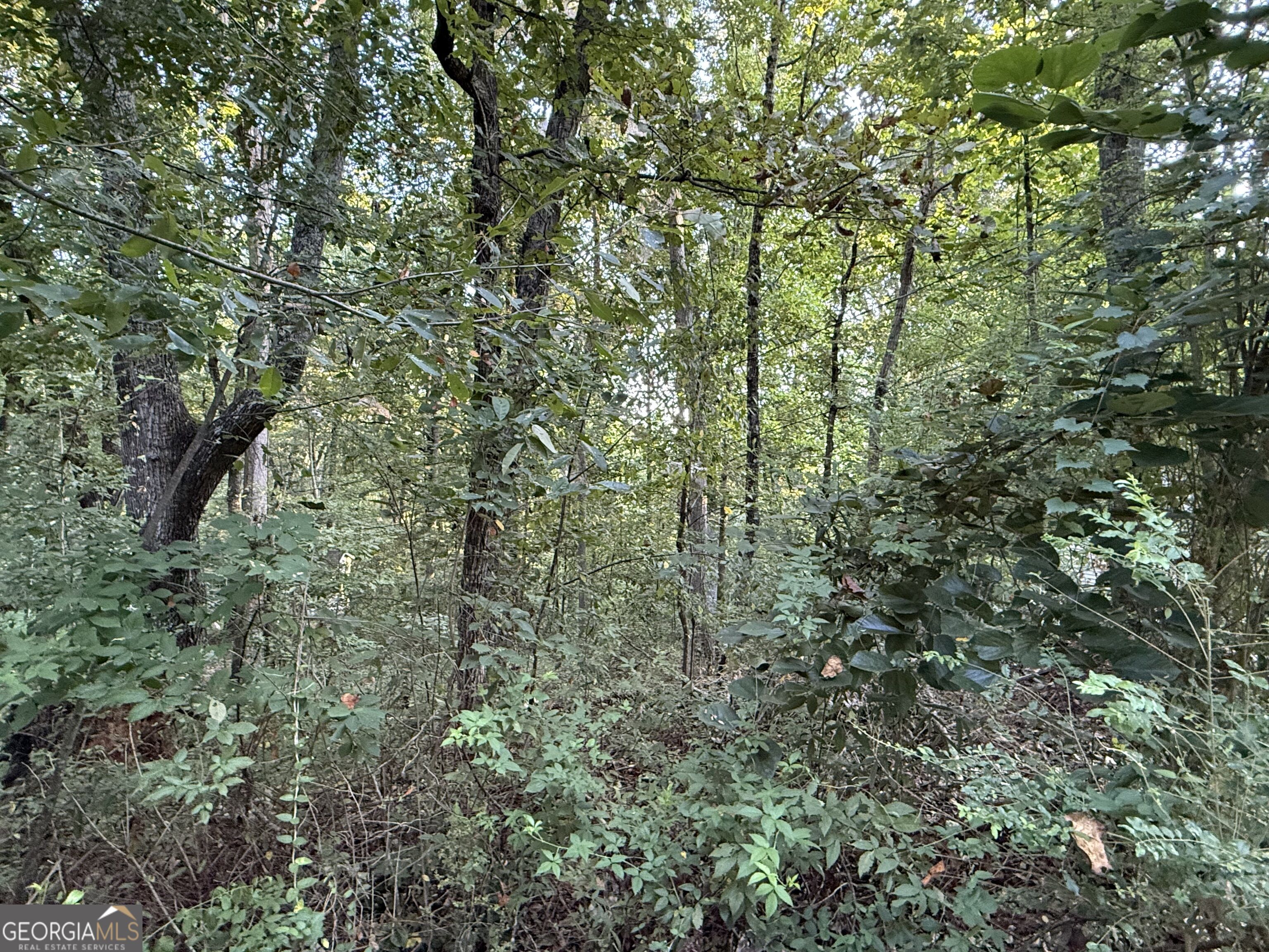 2726 Vaughandale Circle Property Photo 2