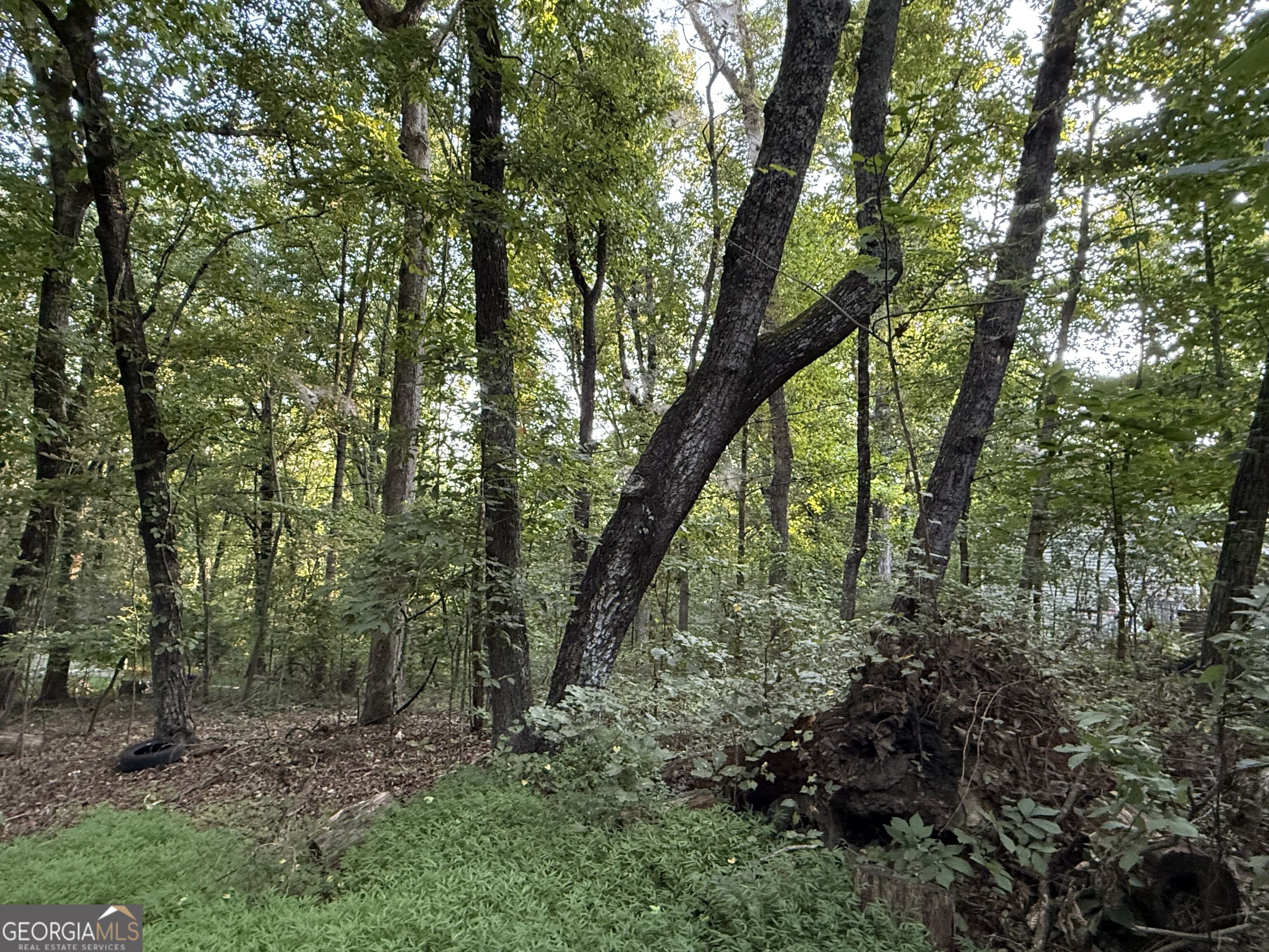 2726 Vaughandale Circle Property Photo 3