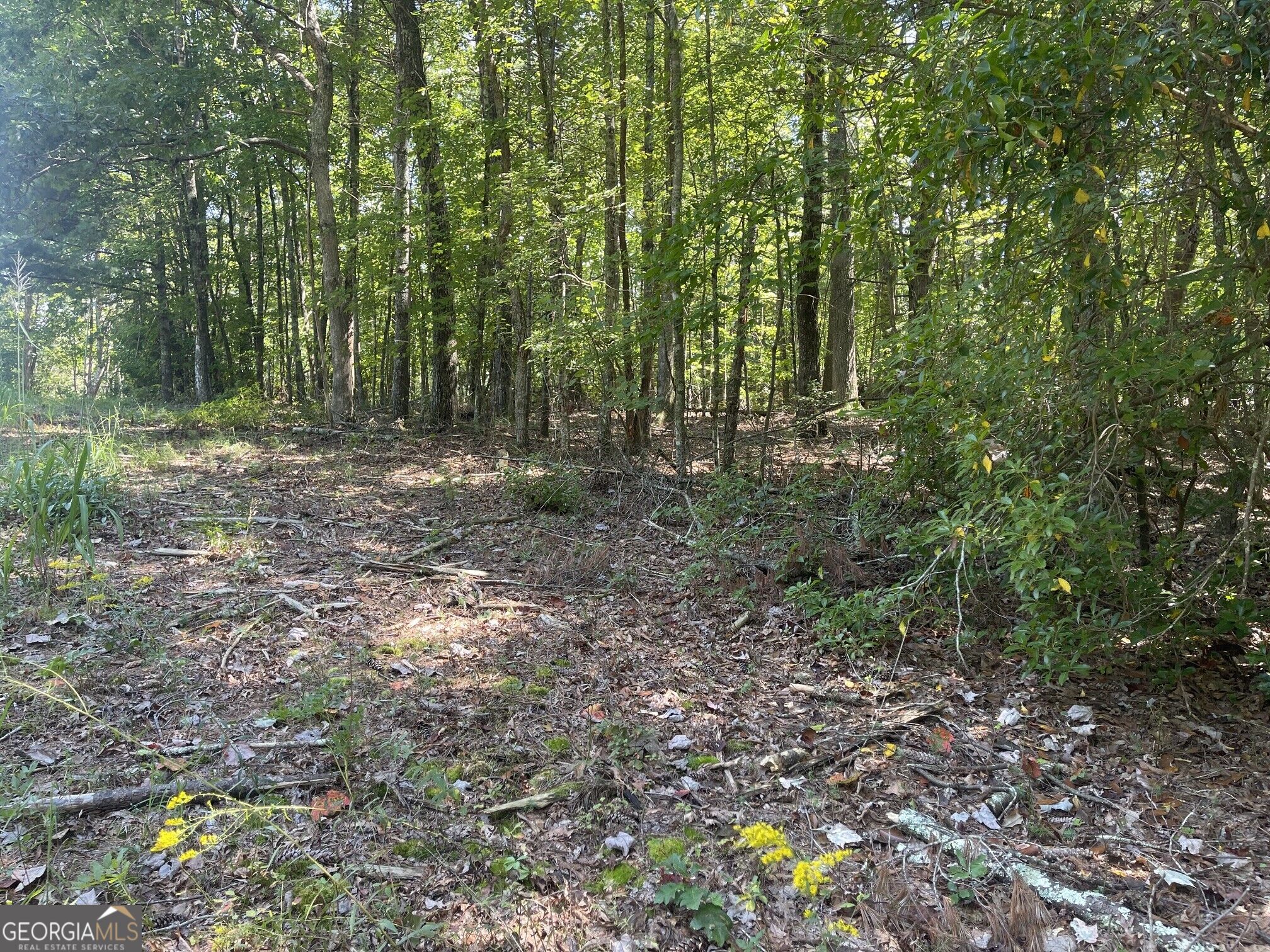 60 Oasis Drive Property Photo 68