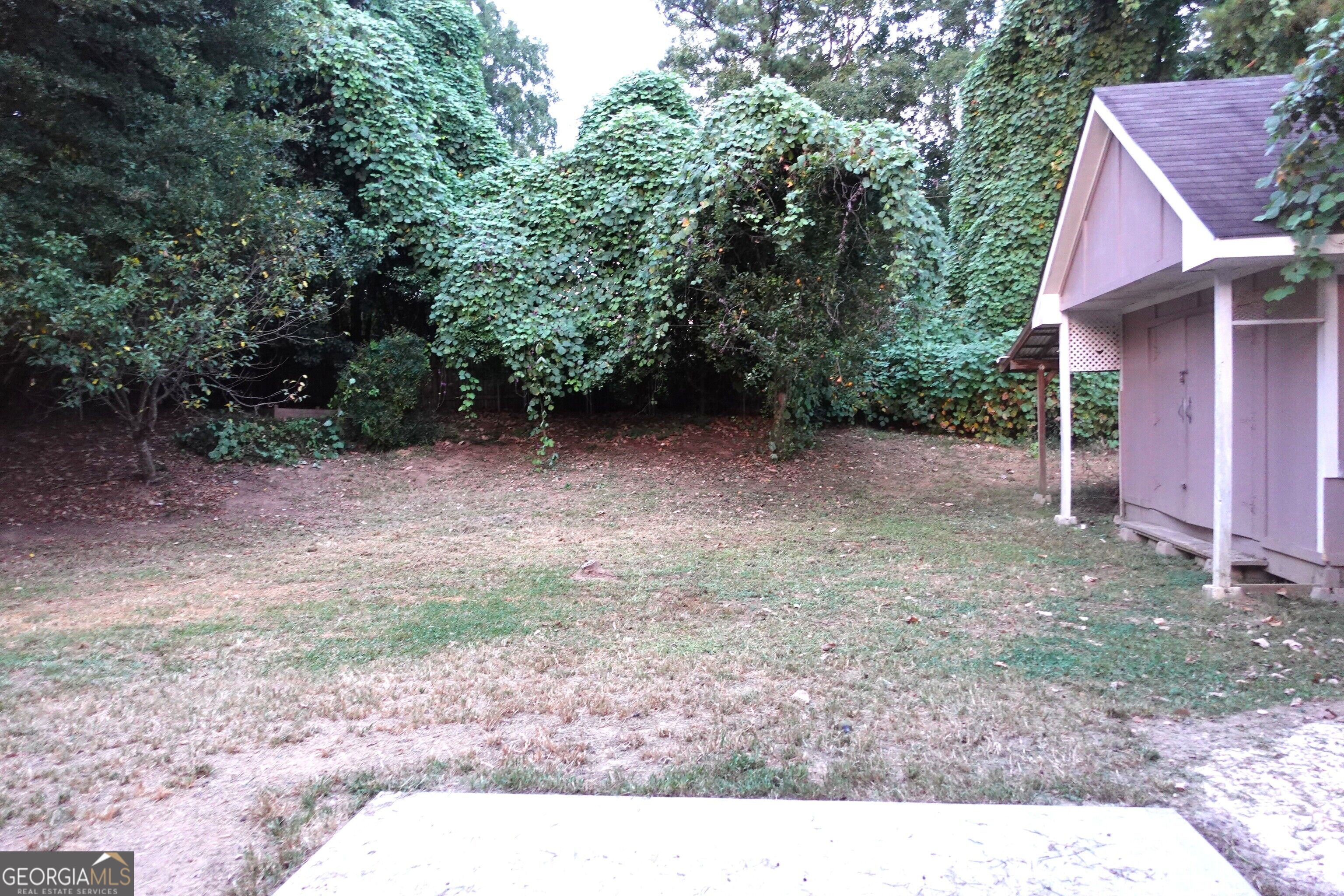 414 Harpy Eagle Drive Property Photo 28