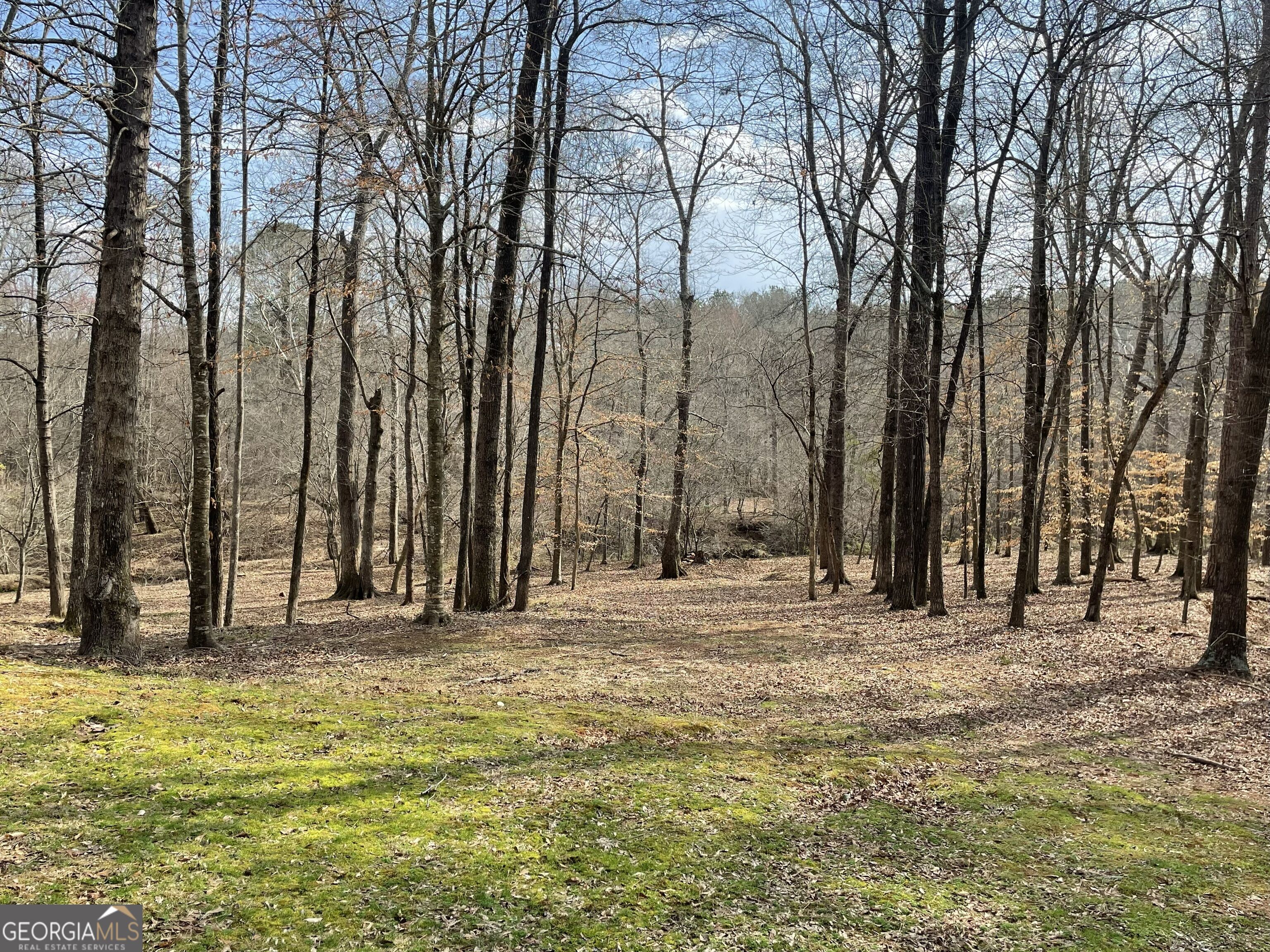 1171 River Run Property Photo 15