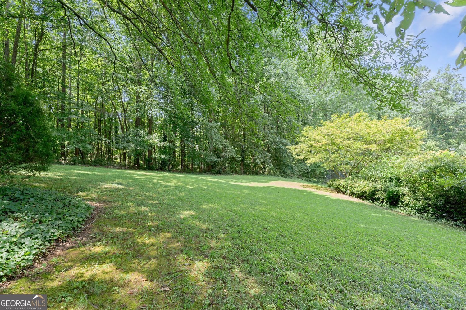 1650 Sever Road Property Photo 73