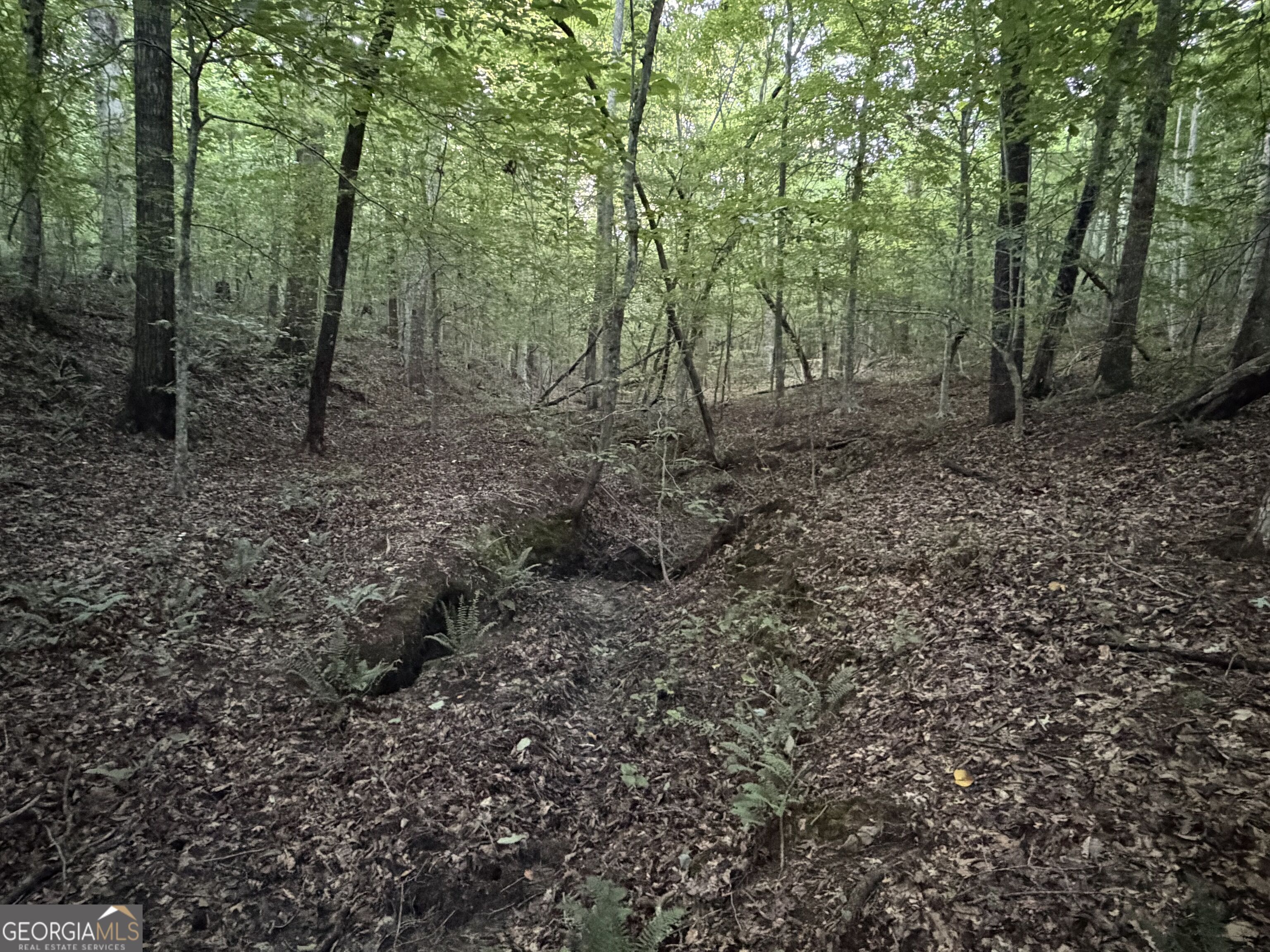 0 County Road 87 # 6 Property Photo 10