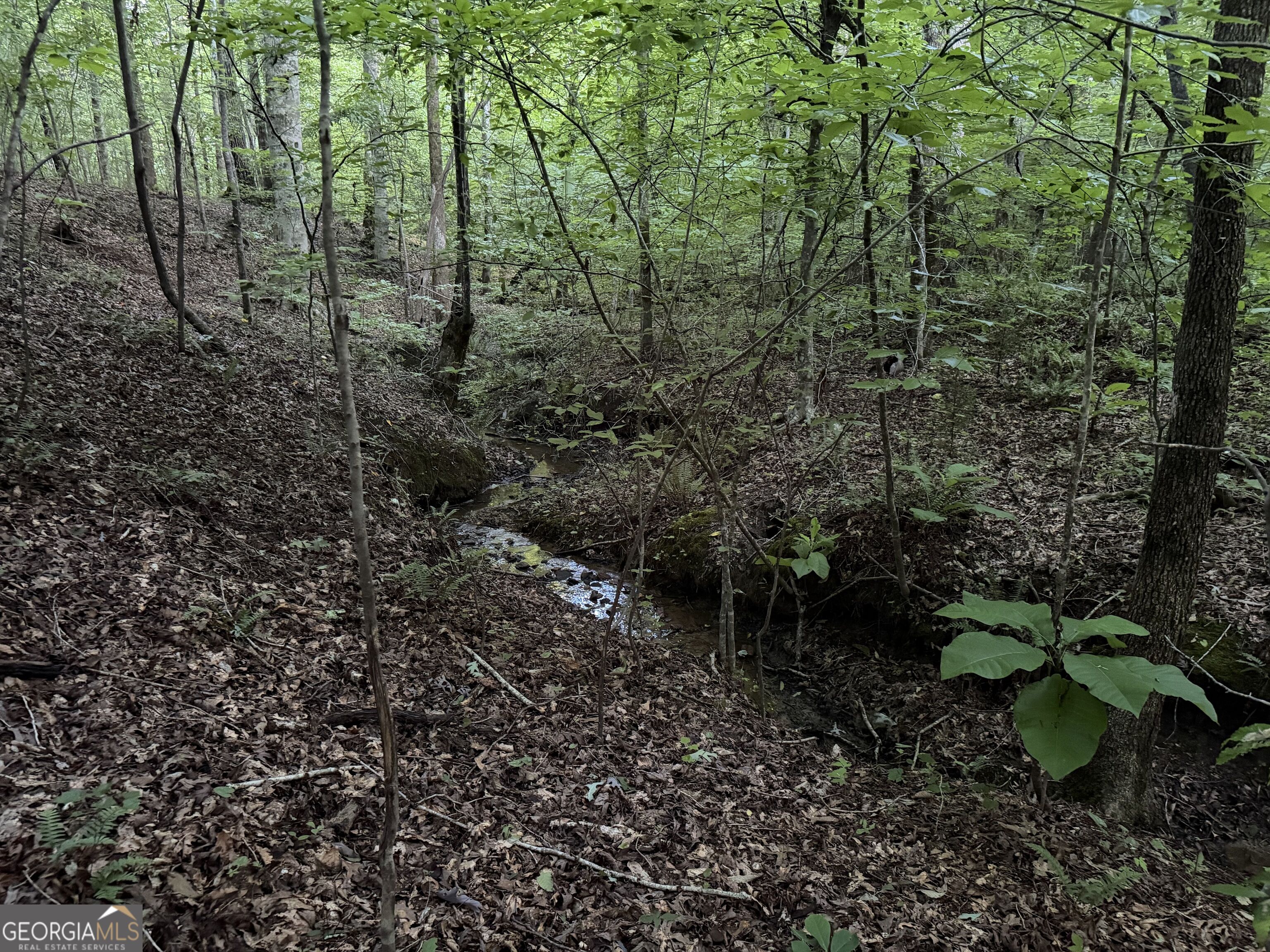 0 County Road 87 # 6 Property Photo 11