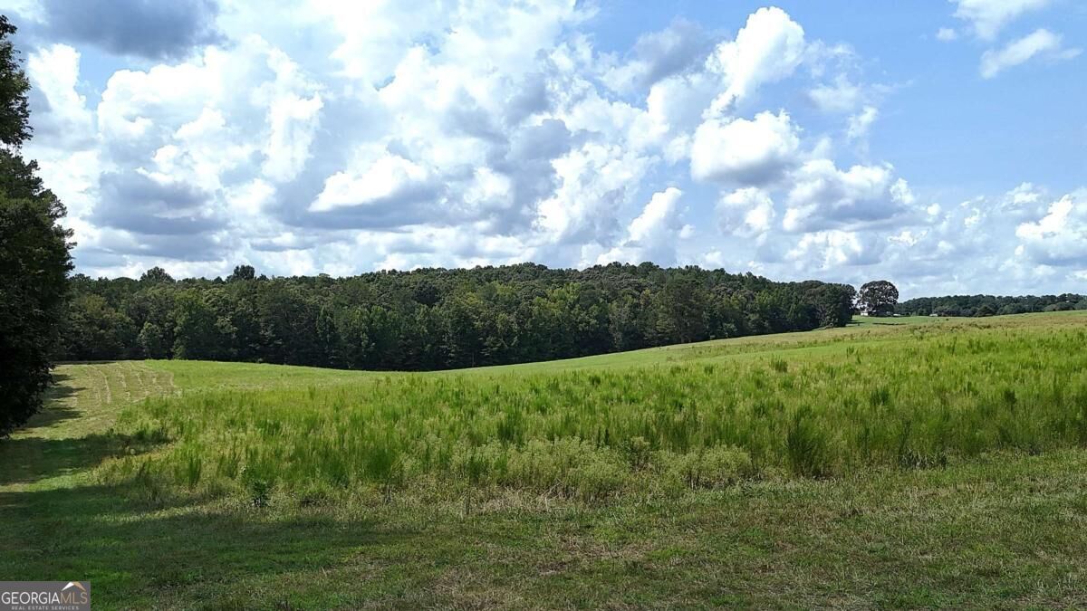 00001 Steadman Road Property Photo 20