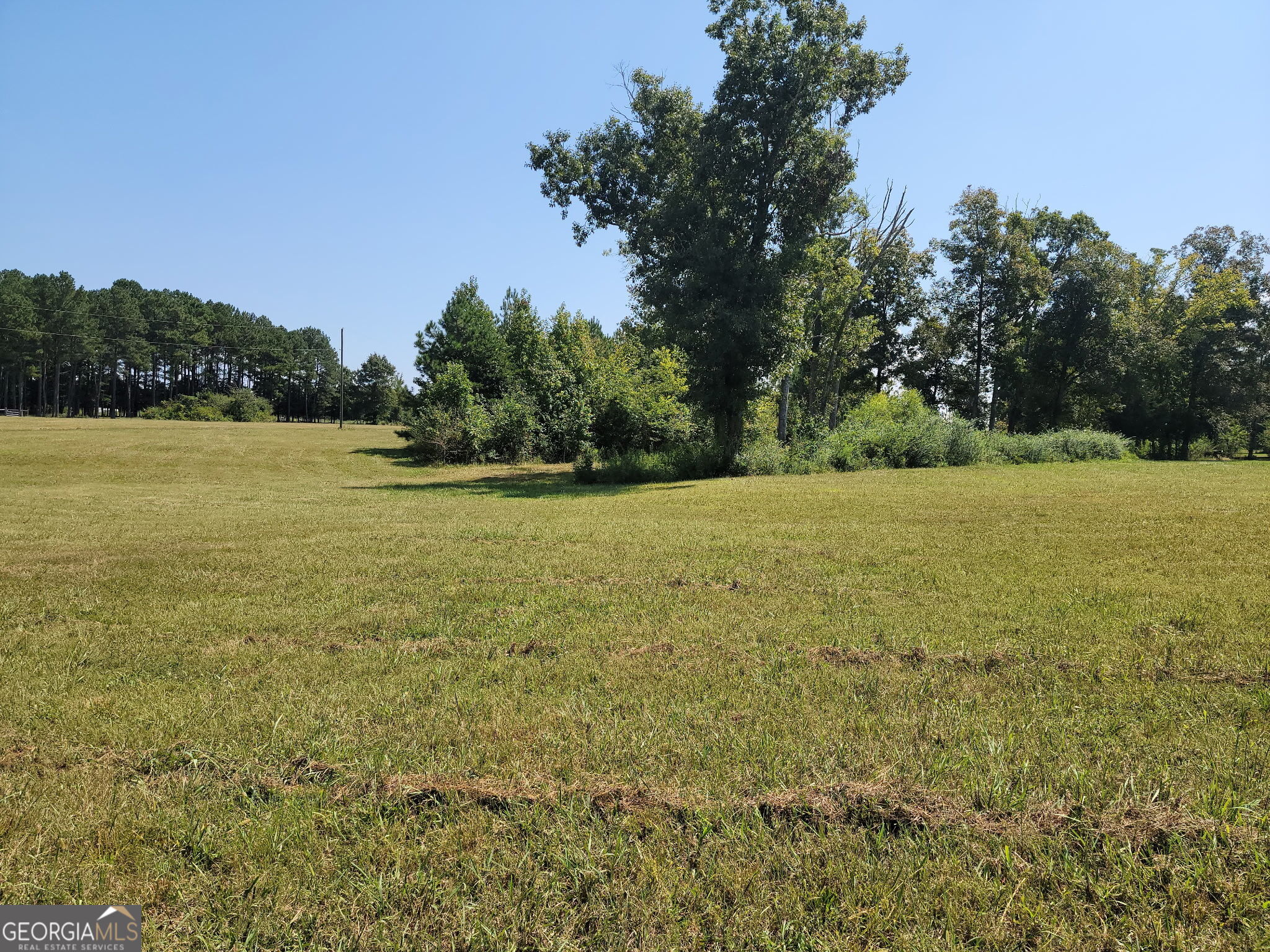 0 Owens Dairy Property Photo 6