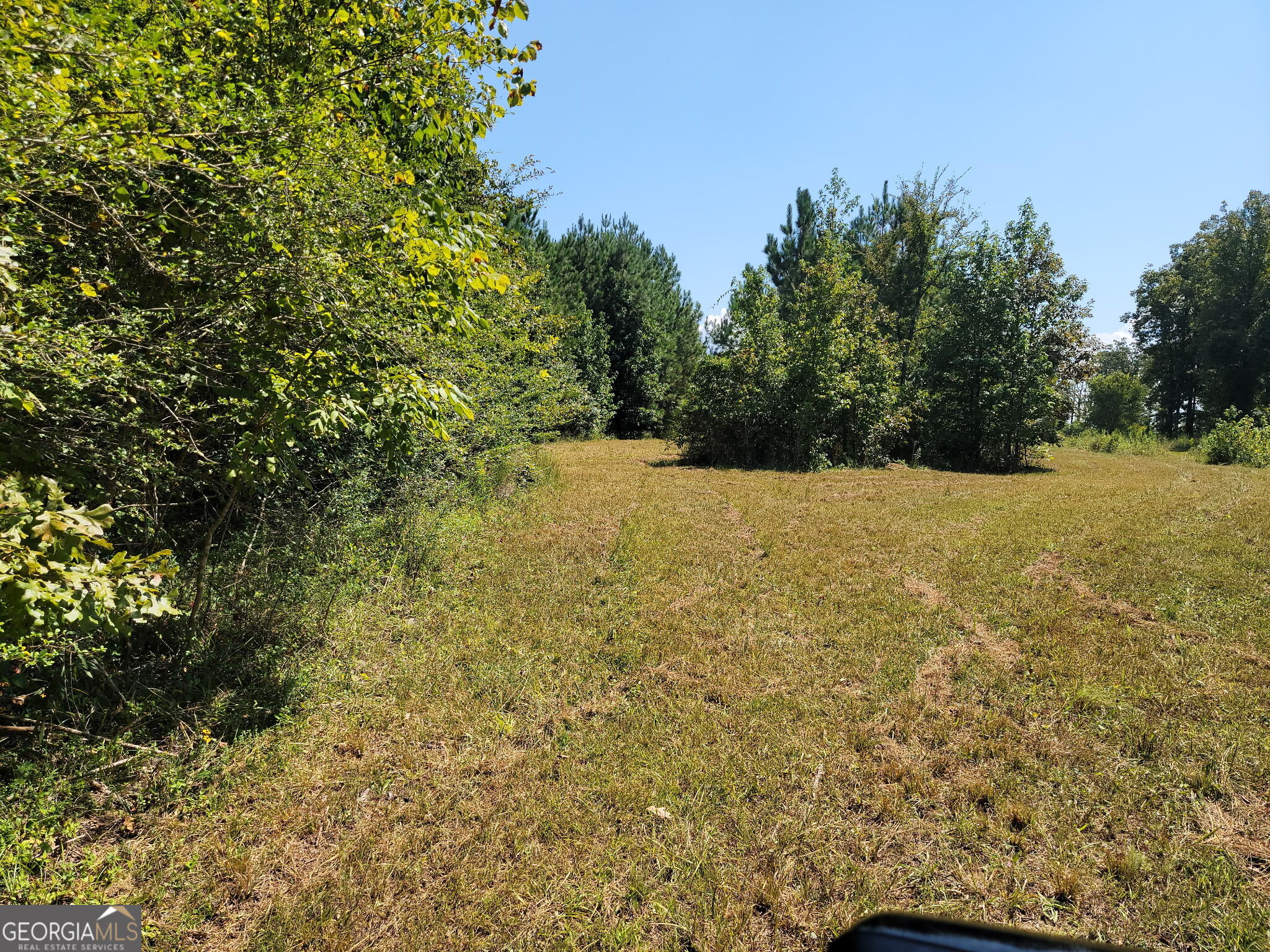 0 Owens Dairy Property Photo 8