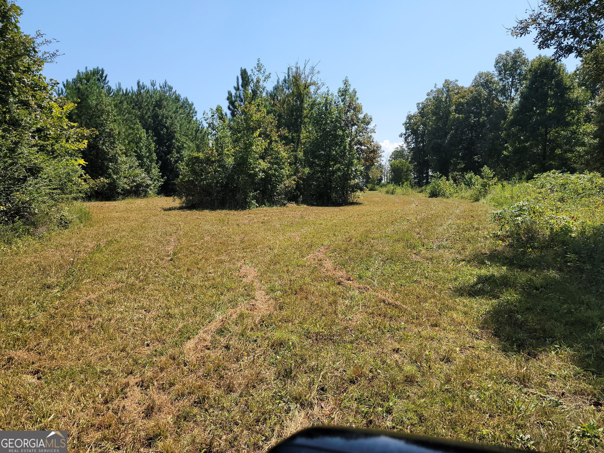 0 Owens Dairy Property Photo 9