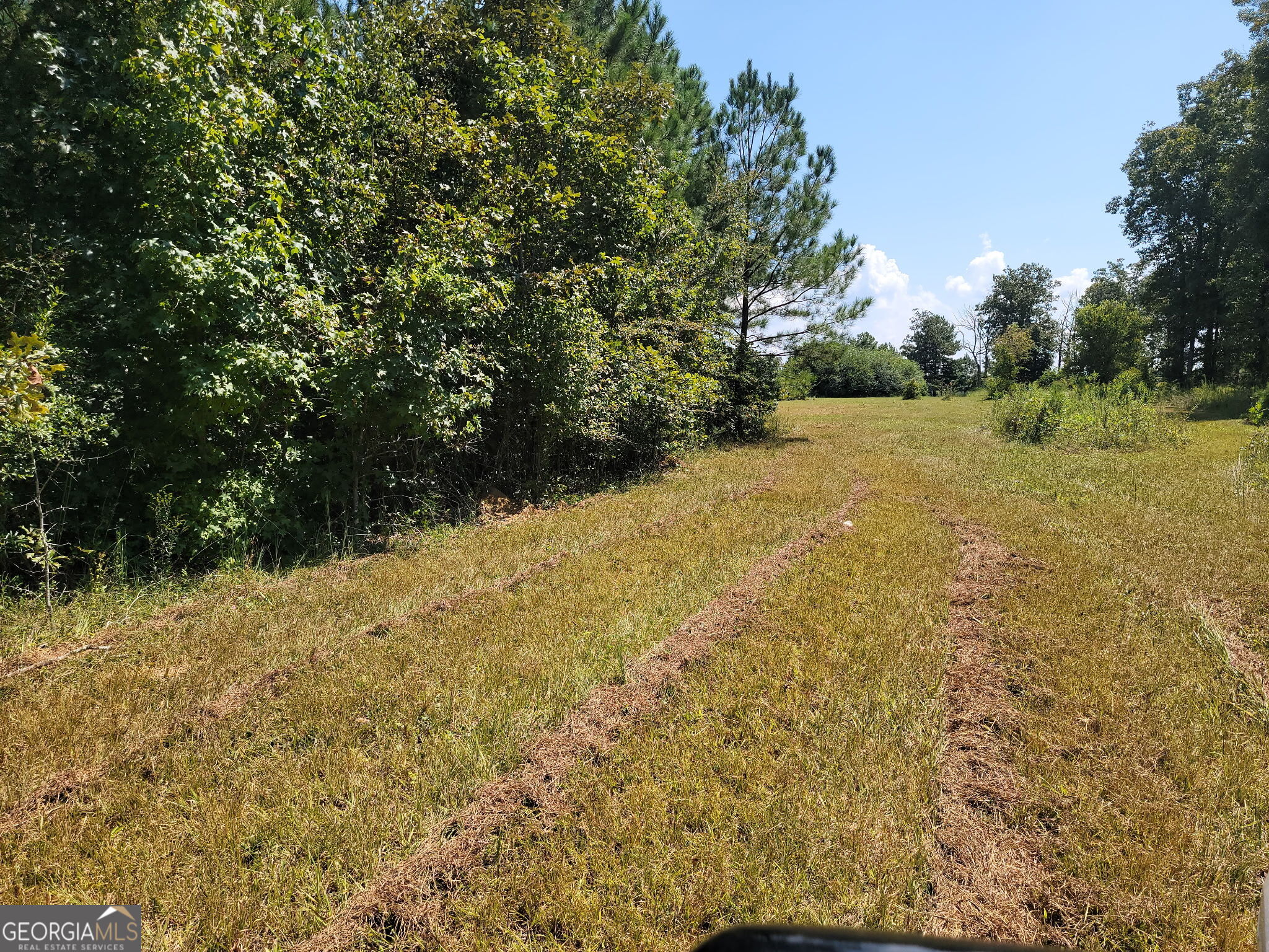 0 Owens Dairy Property Photo 10