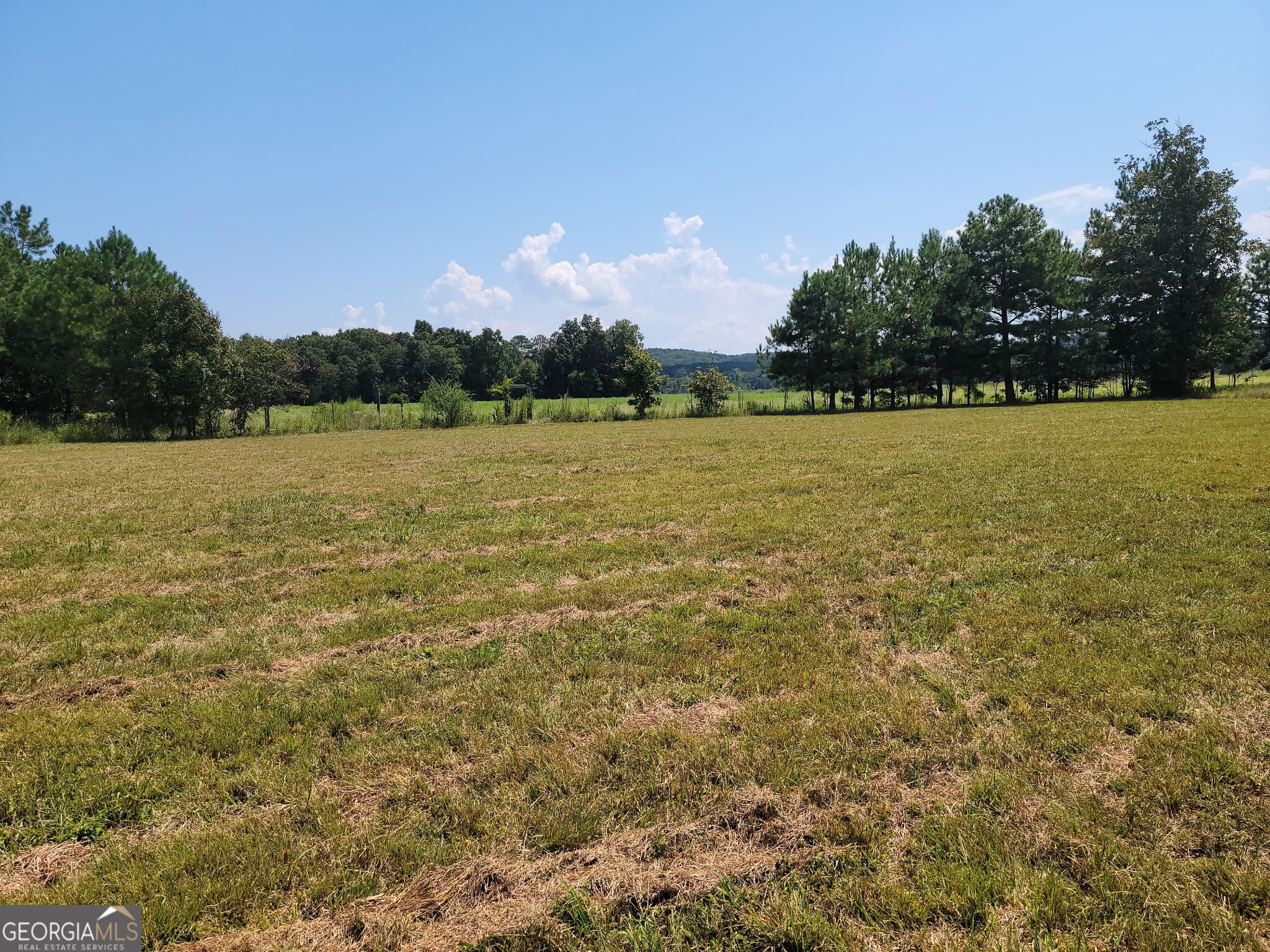 0 Owens Dairy Property Photo 12