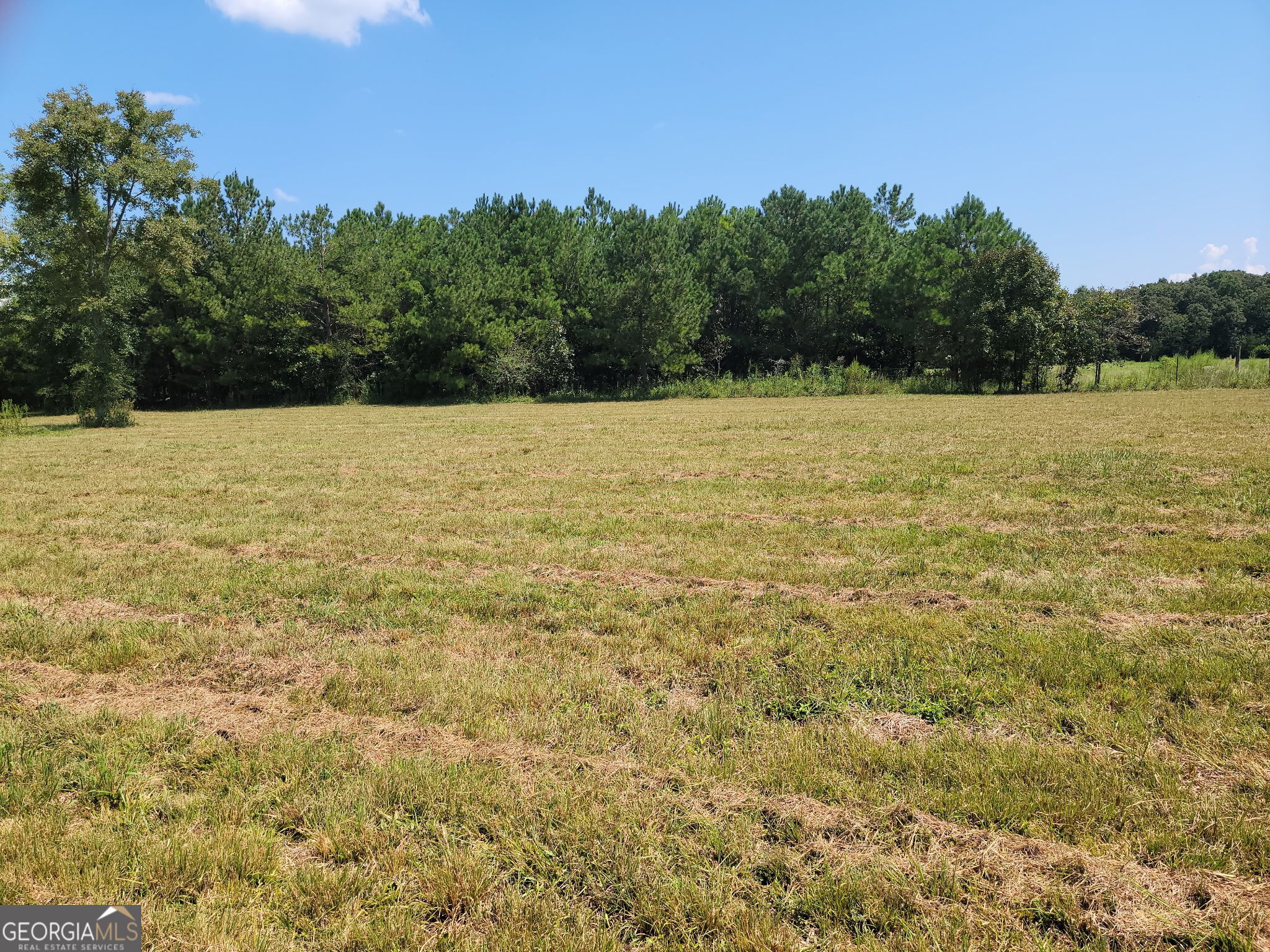 0 Owens Dairy Property Photo 13