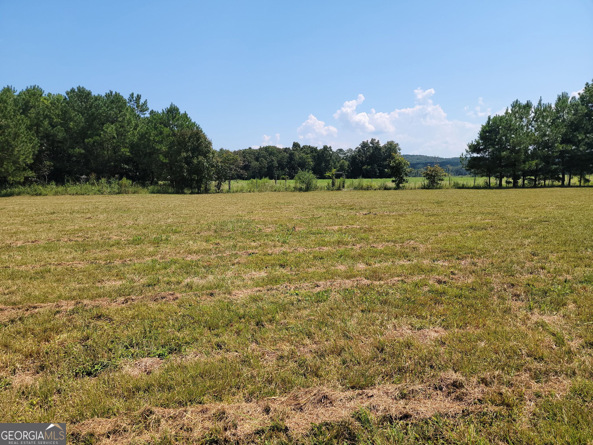 0 Owens Dairy Property Photo 14
