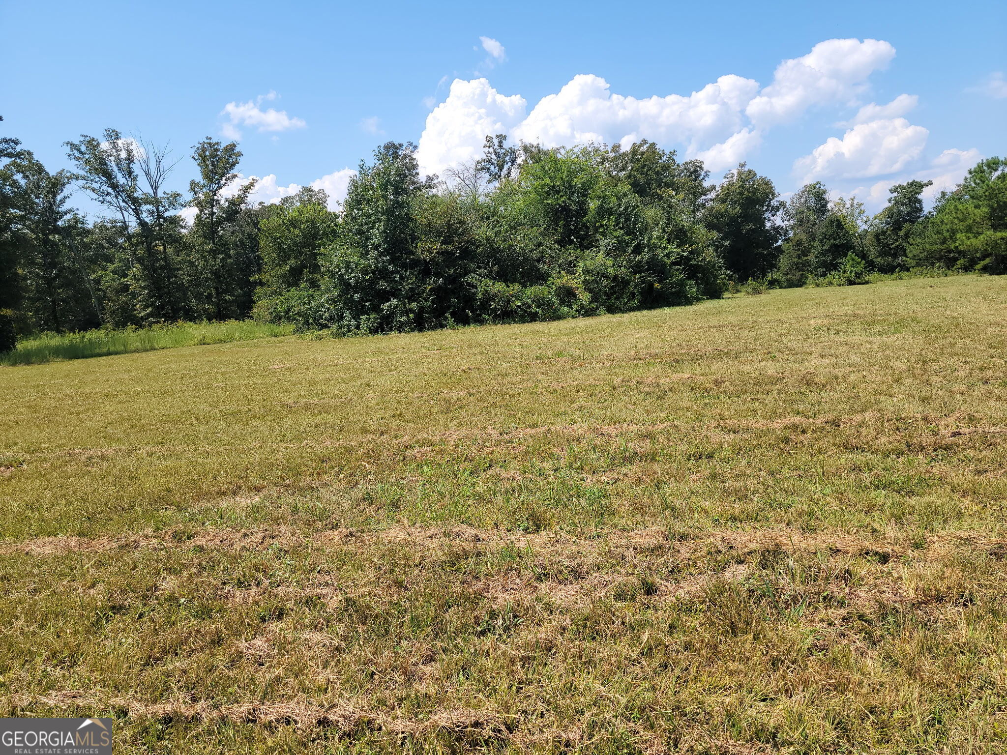 0 Owens Dairy Property Photo 16