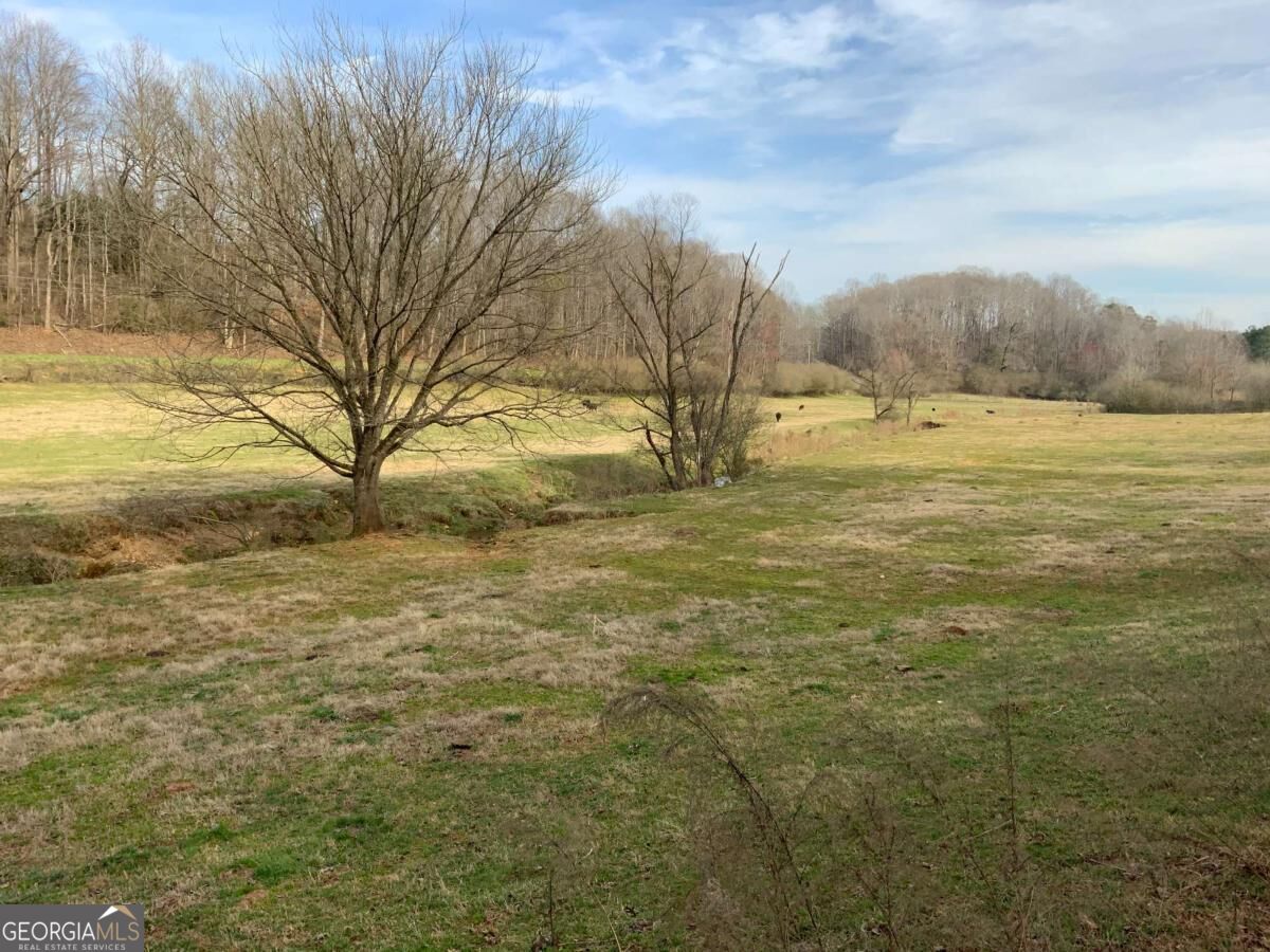 13 Ac Aruthur Anderson Road Property Photo 7