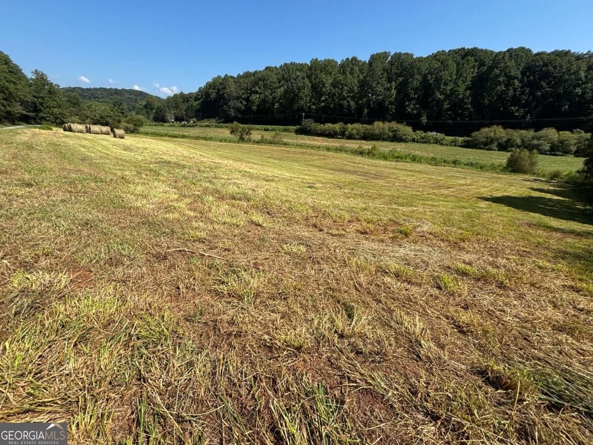 13 Ac Aruthur Anderson Road Property Photo 8