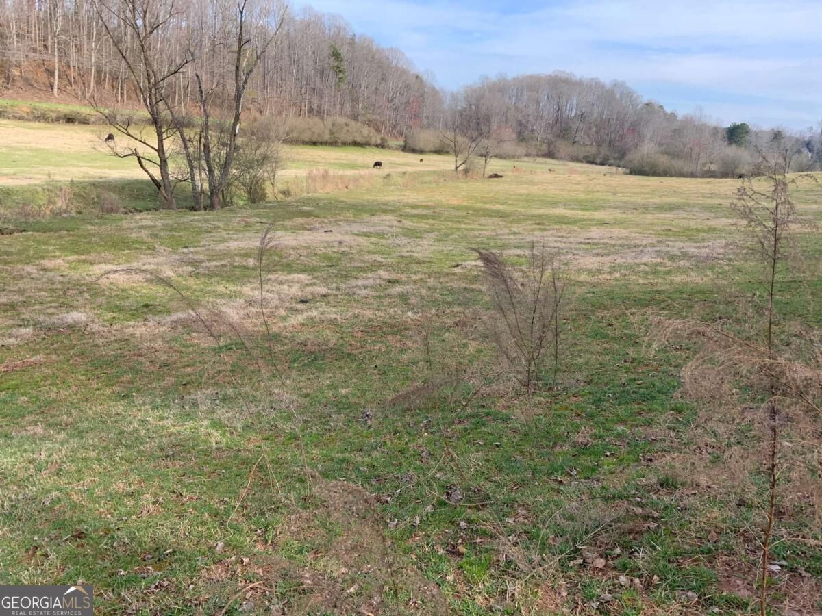 13 Ac Aruthur Anderson Road Property Photo 9