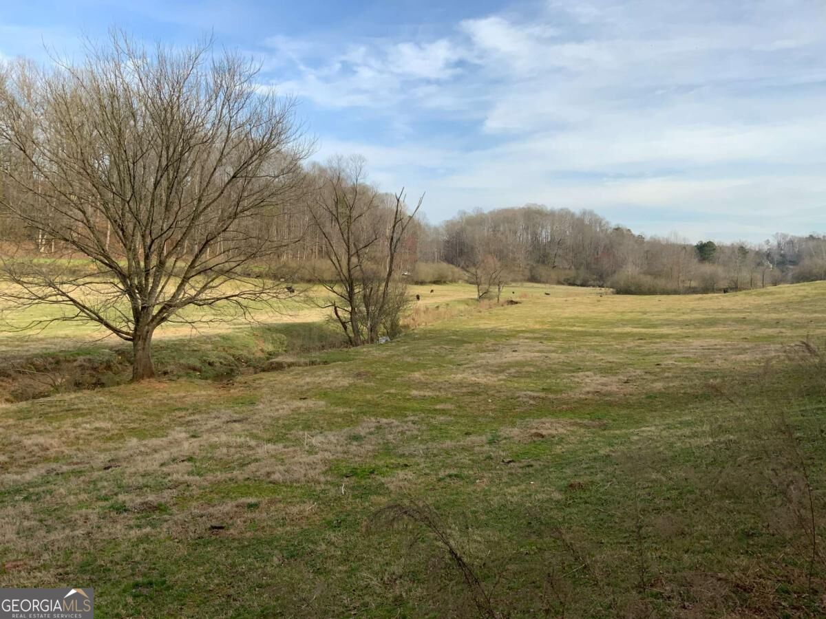 13 Ac Aruthur Anderson Road Property Photo 10