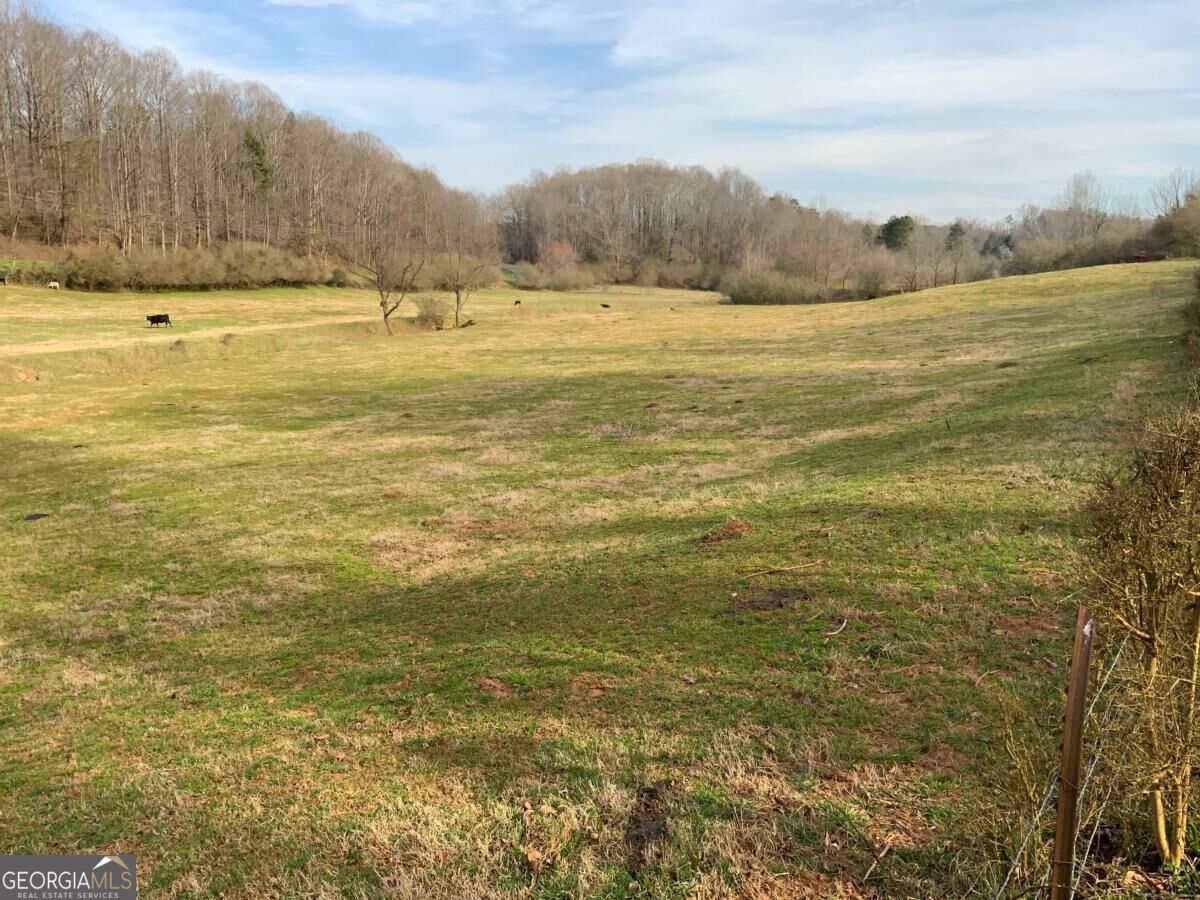 13 Ac Aruthur Anderson Road Property Photo 13