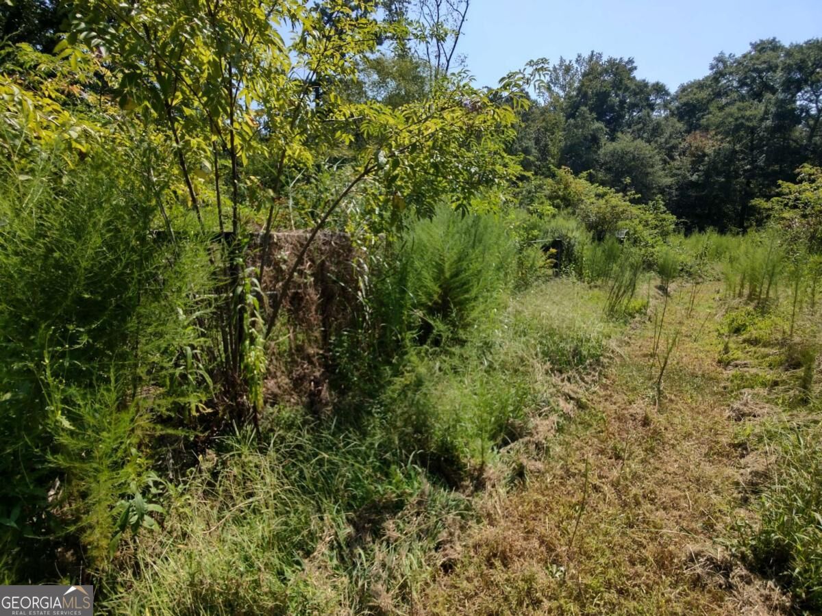 940 County Road 387 Property Photo 28