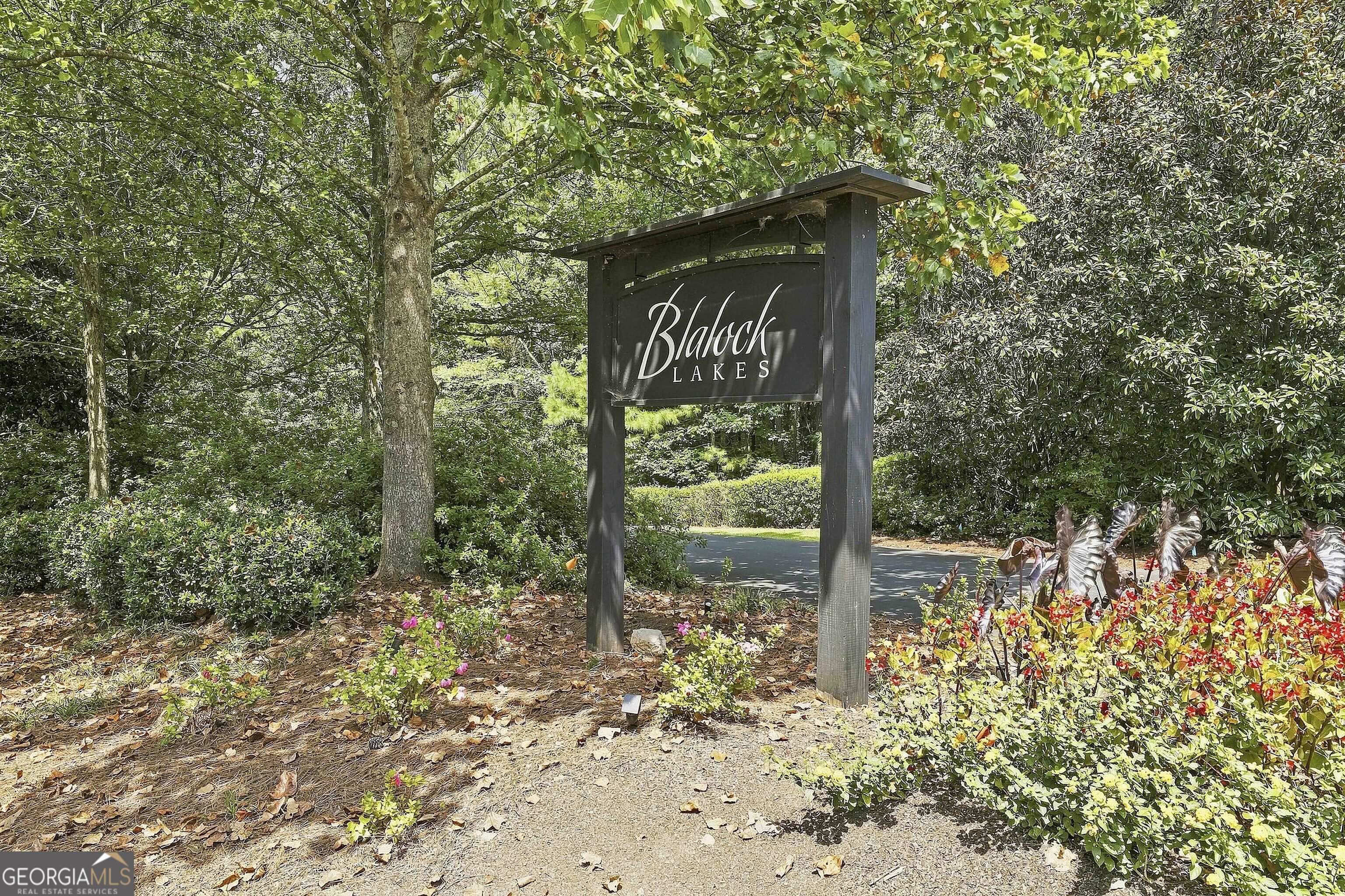 55 Paddleboat Lane Property Photo 69