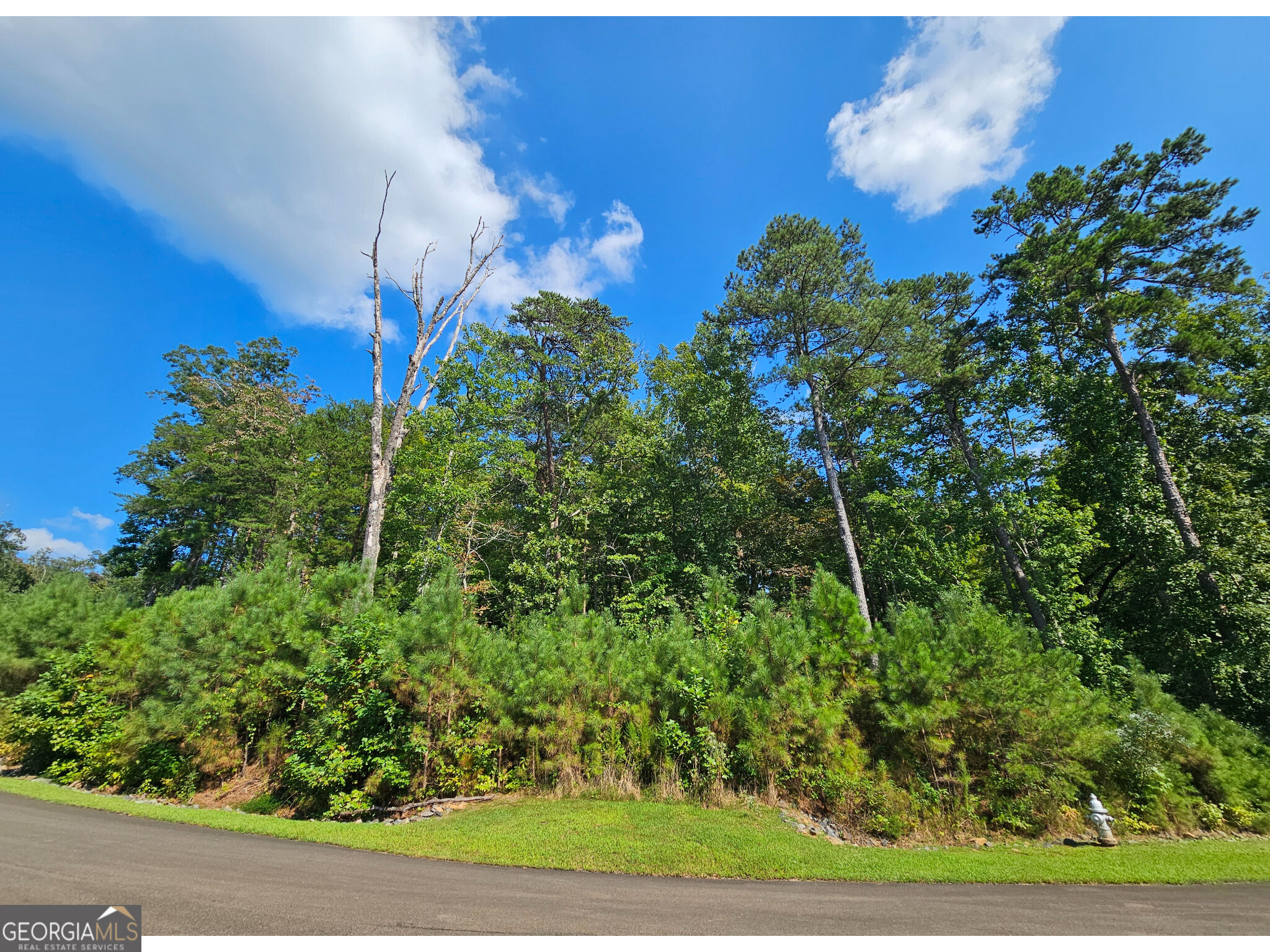 LOT 241 Carters View Lane Property Photo 1