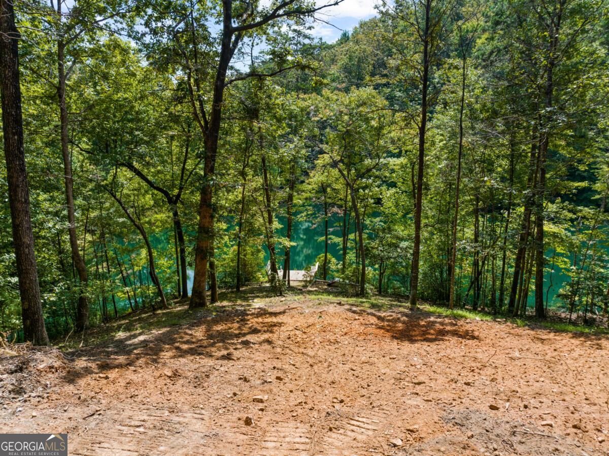 Lt 44&45 Overlook Drive Property Photo 3