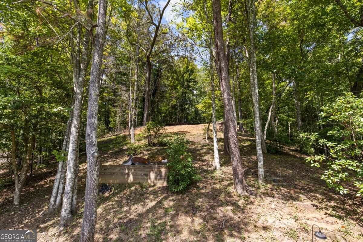 Lt 44&45 Overlook Drive Property Photo 18