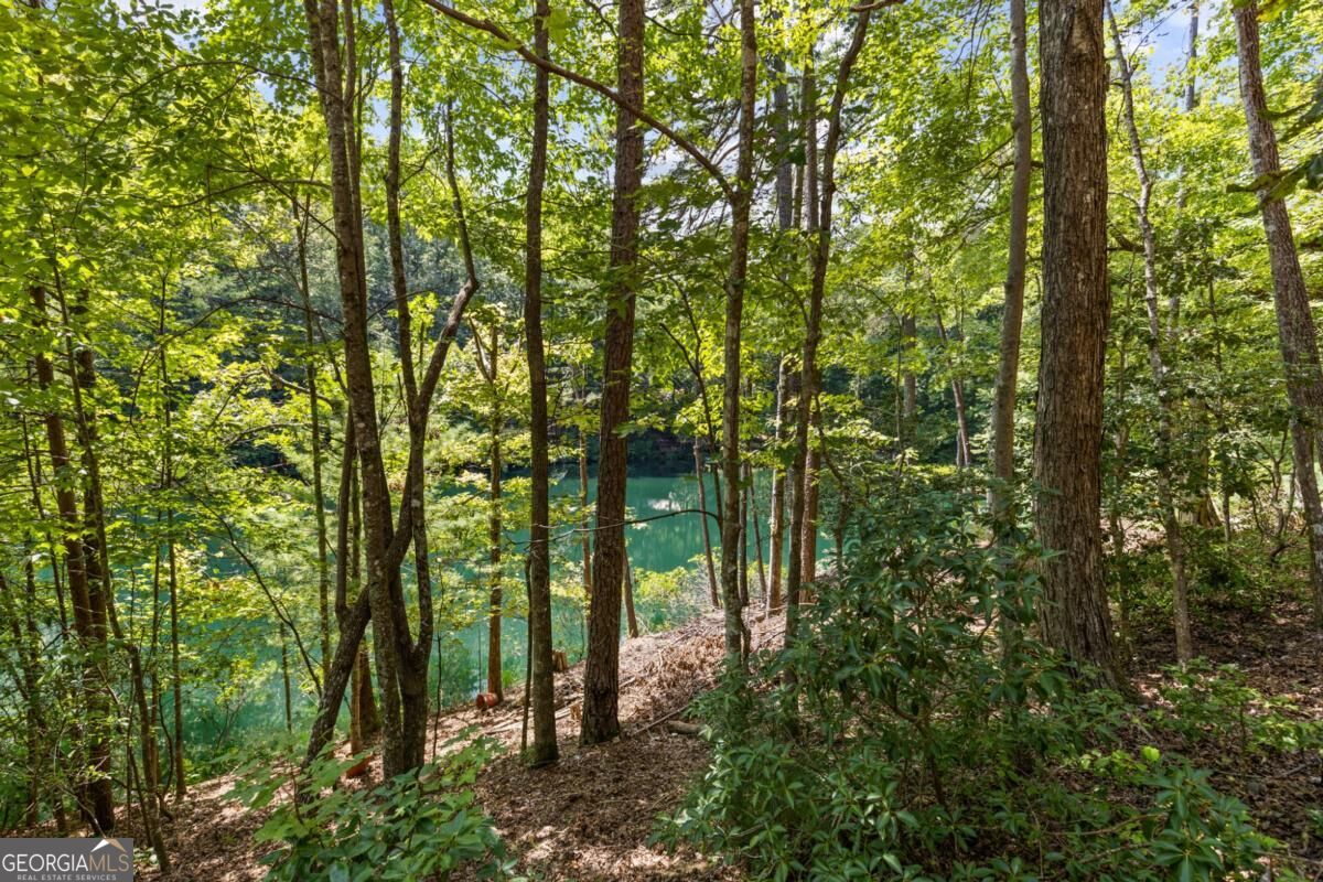 Lt 44&45 Overlook Drive Property Photo 19