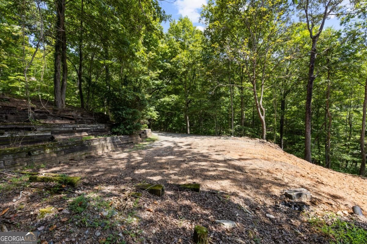 Lt 44&45 Overlook Drive Property Photo 22