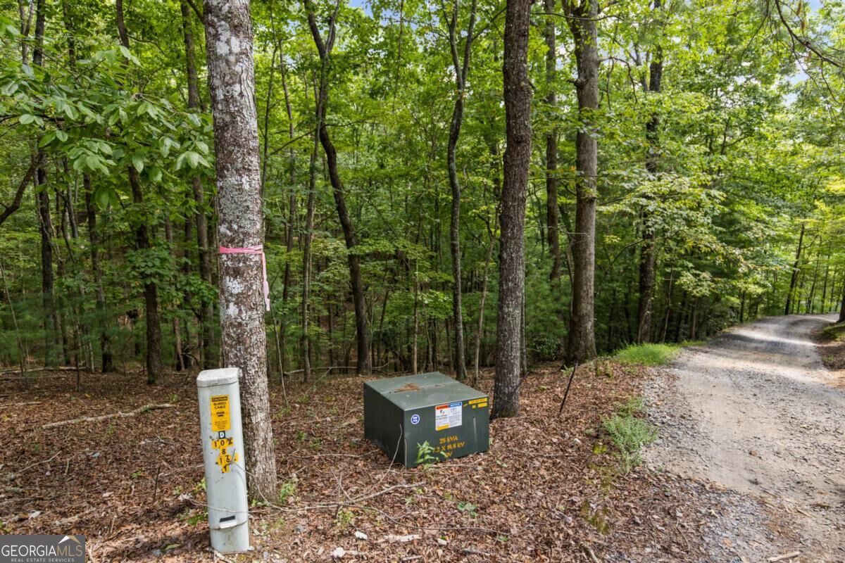 Lt 44&45 Overlook Drive Property Photo 25