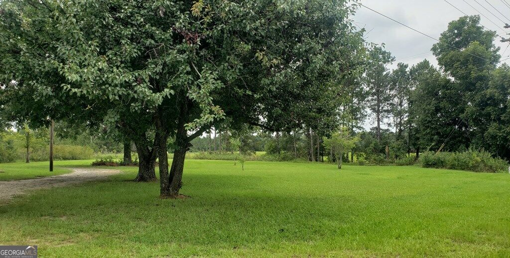 2876 Hwy 257 Property Photo 5