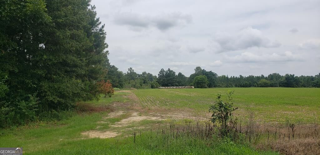 2876 Hwy 257 Property Photo 9