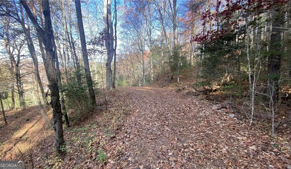 1 Barefoot Hills Road Property Photo 1