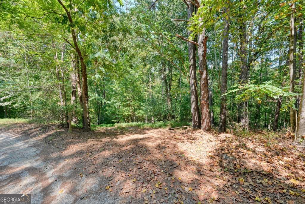 150 Waleska Woods Road Property Photo 1