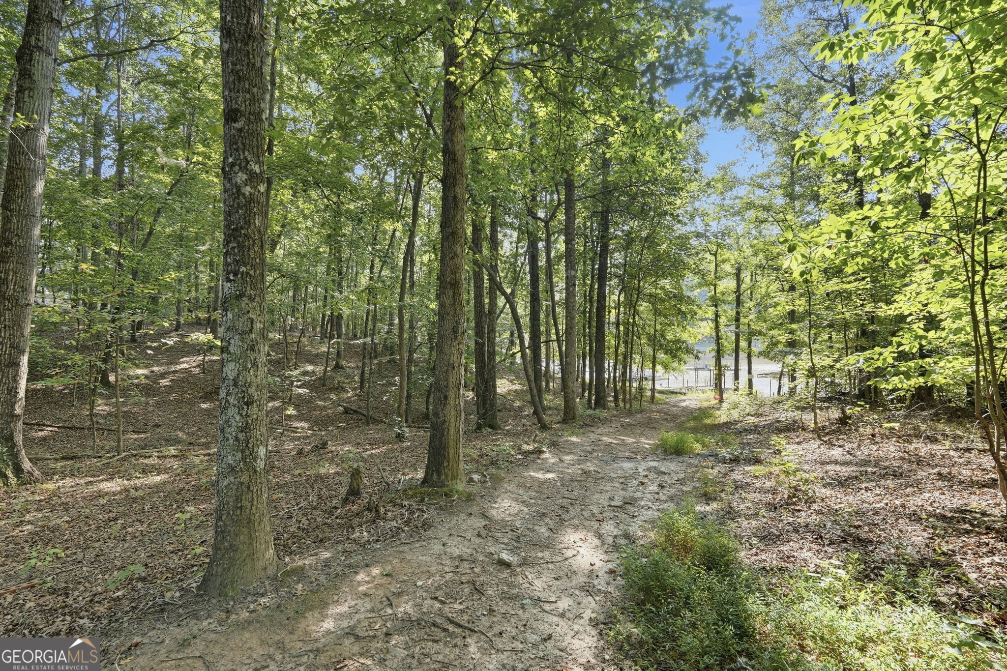 3056 Clear Cove Way Property Photo 10